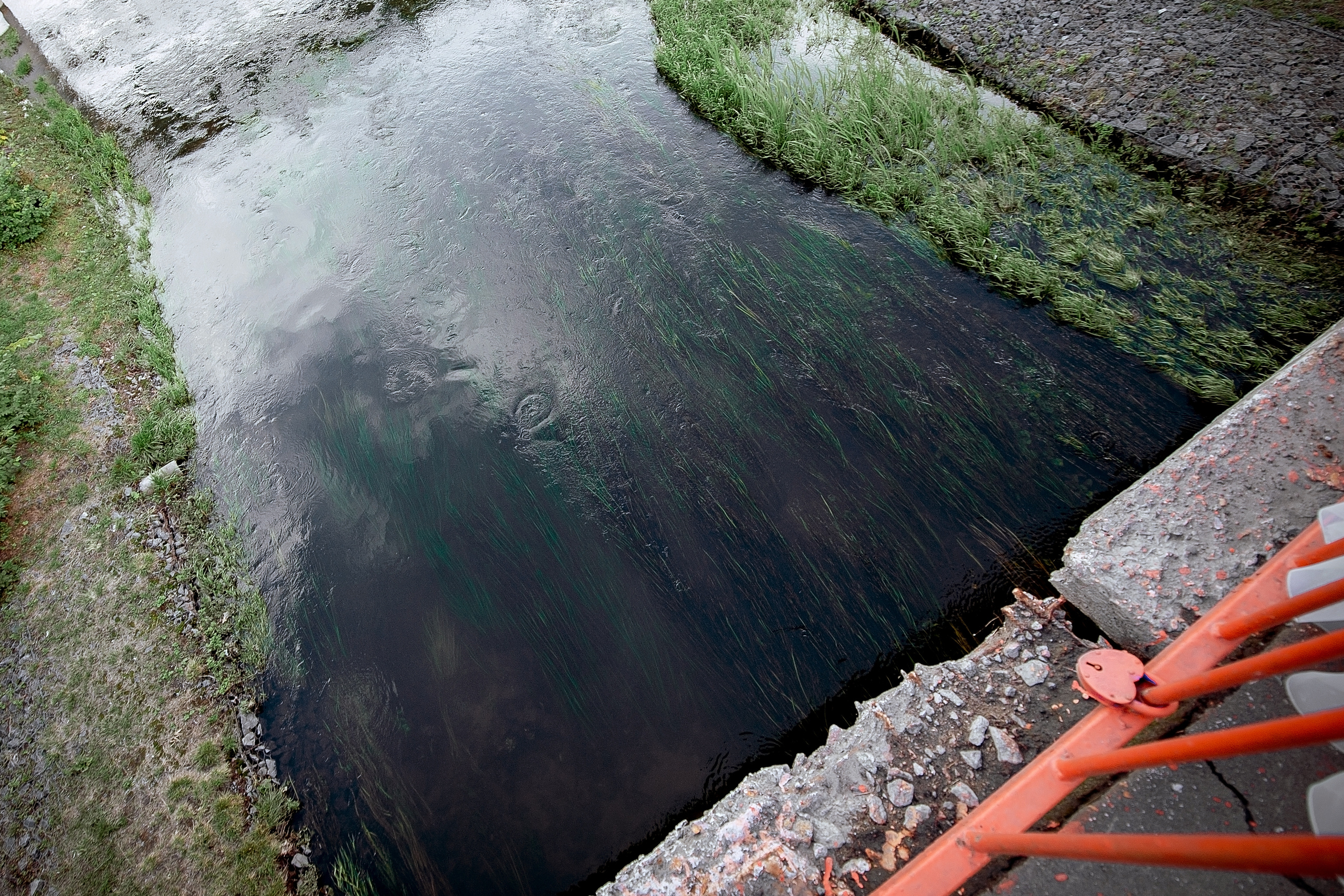Свадебная фотопрогулка на Черном озере во Фрязино с банкетом в "Загоро. Свадебный и семейный фотограф Виктория Носачёва. Щелково, Москва и МО