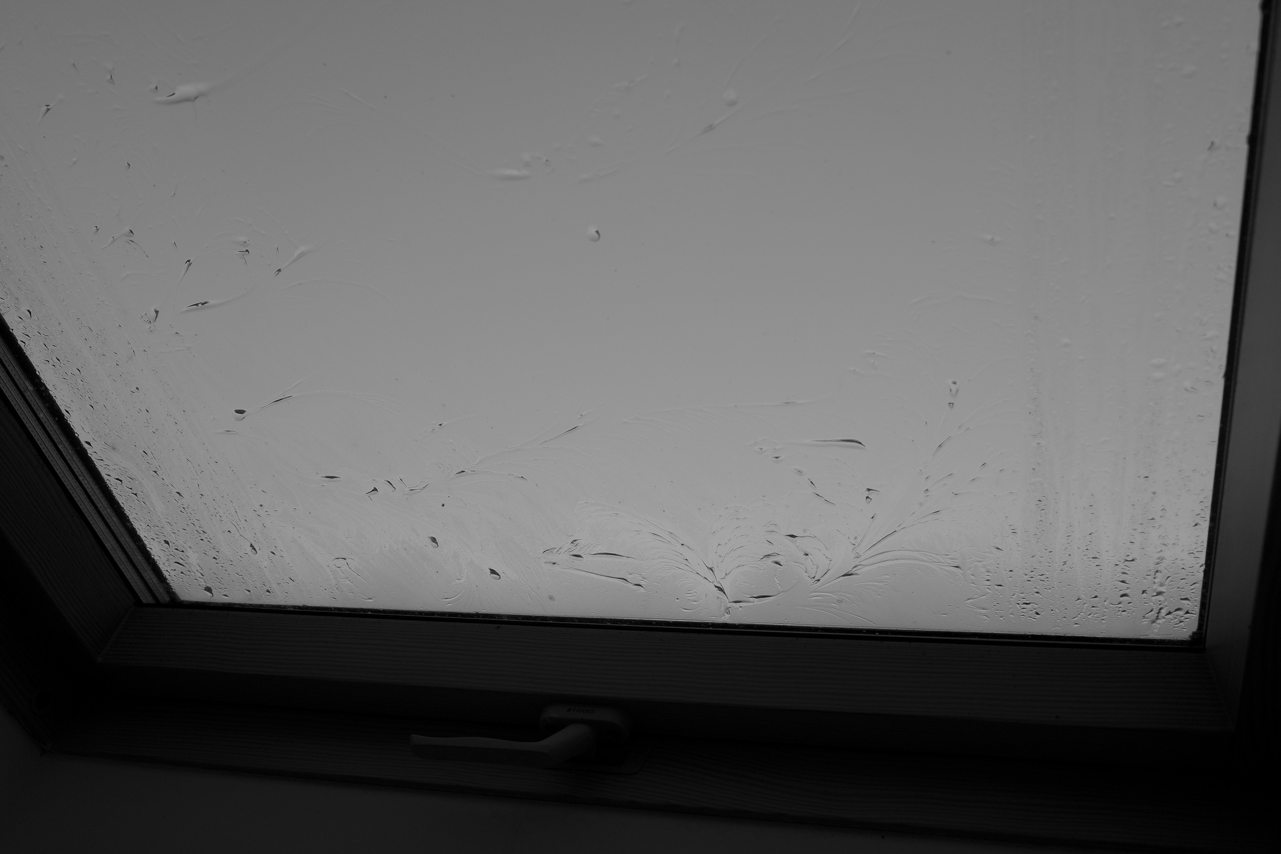 — 2025. Фотограф Злата Спицына