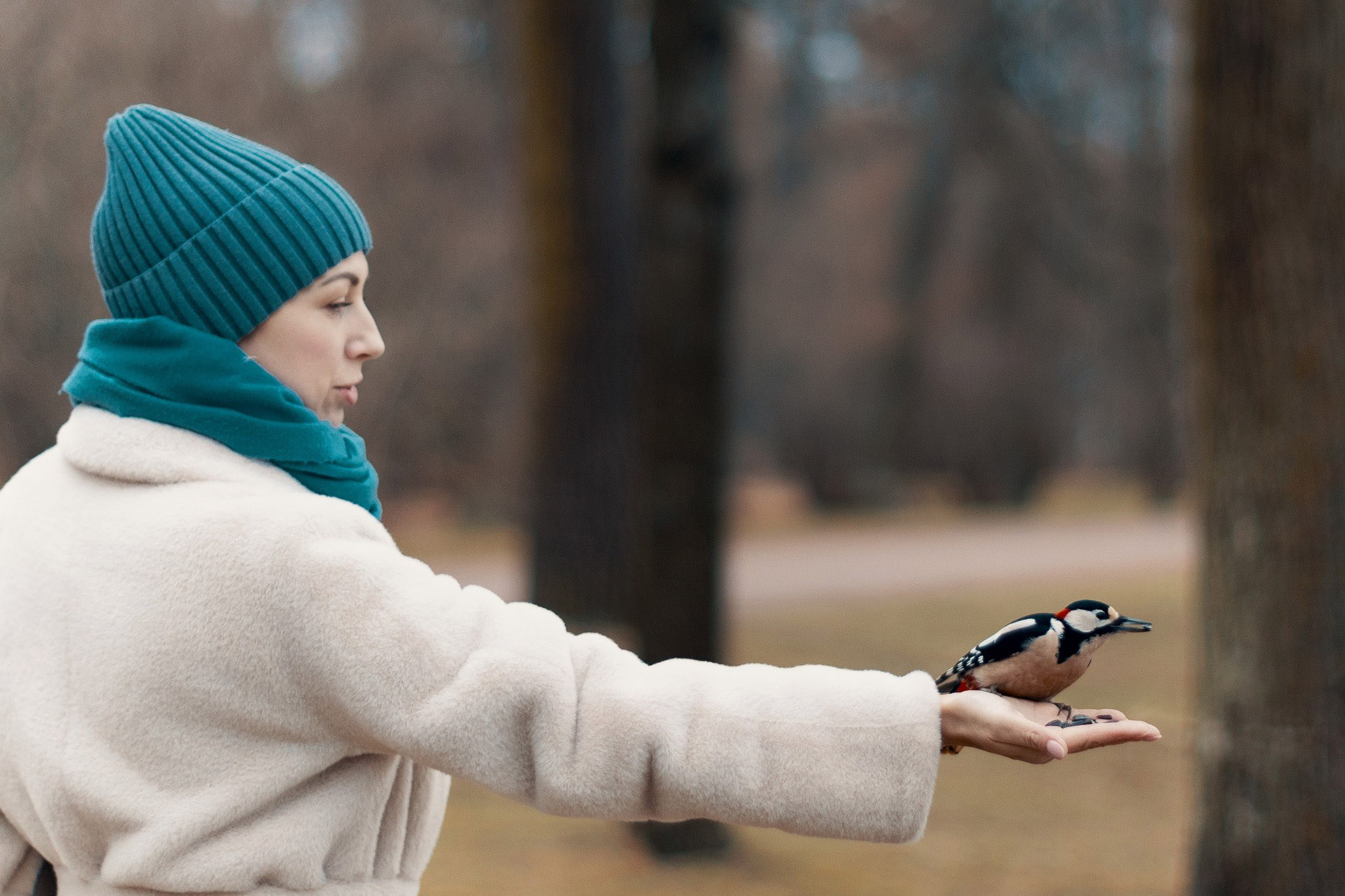 Екатерининский Парк (Царское Село). Фотограф Валерий Сабрам