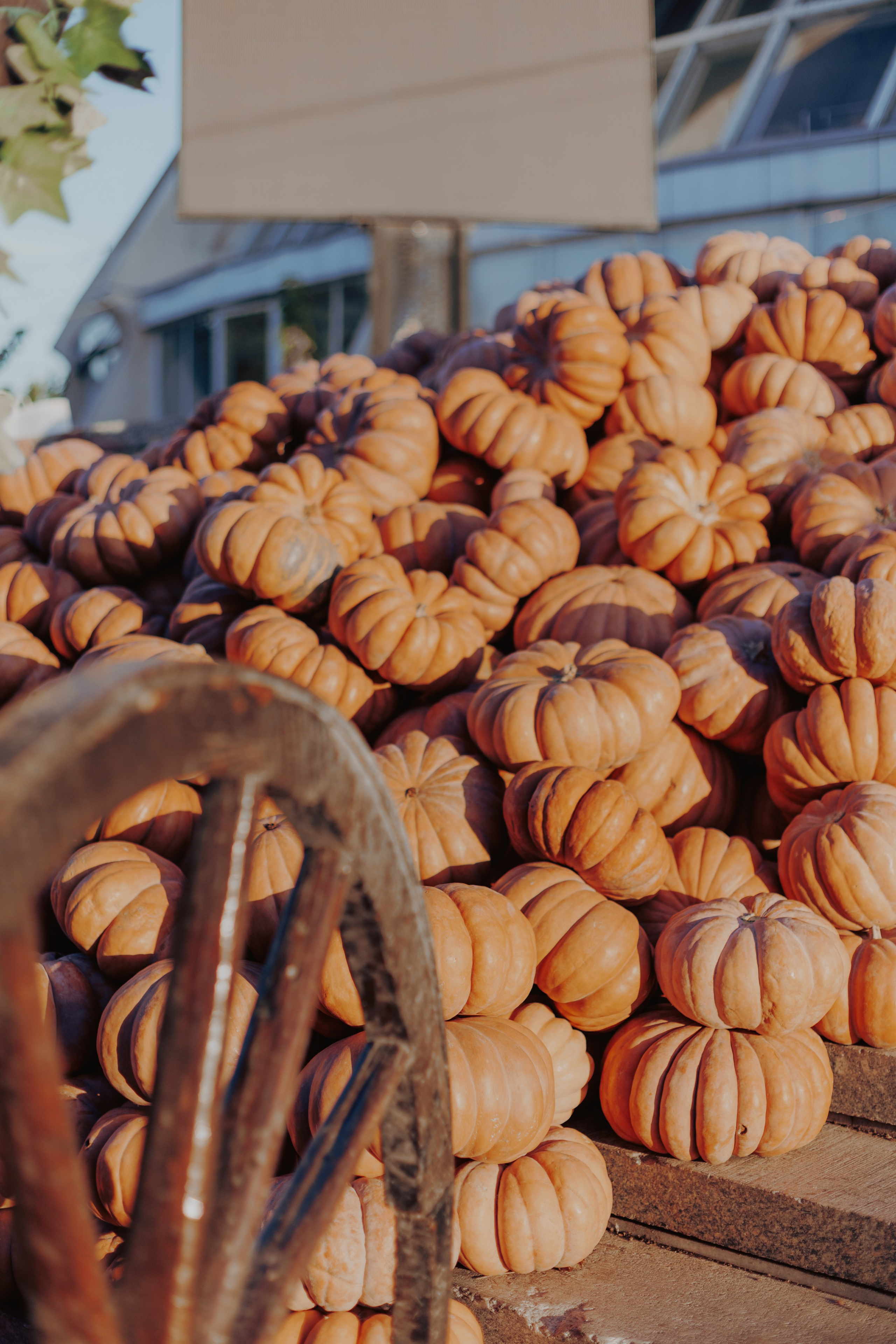 Узбекистан. Креатор Ольга Яш