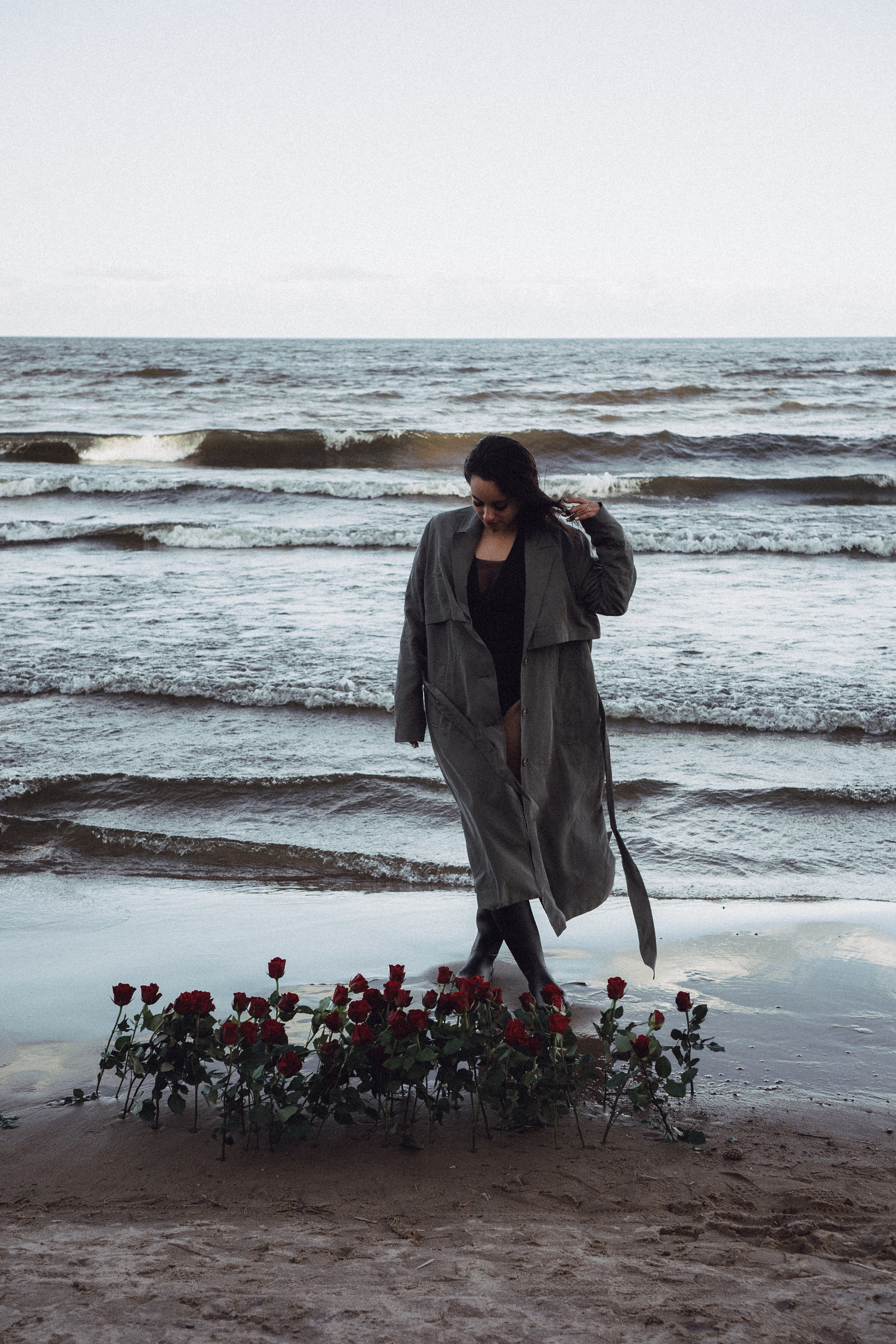 Розы. Профессиональный фотограф, Санкт-Петербург — Виктория Богомолова