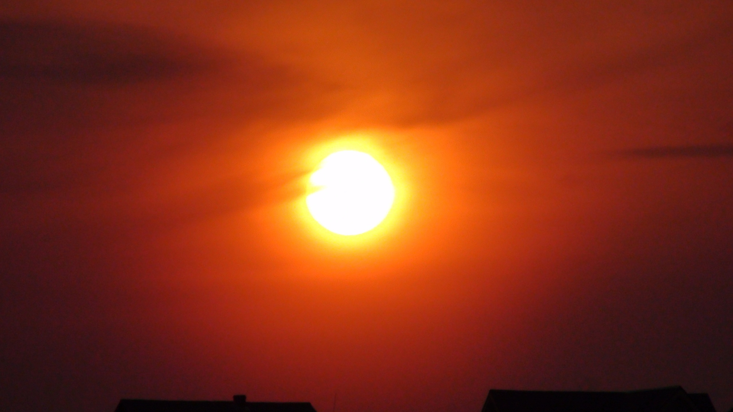 Дача 11.05.2009. Семейный, Свадебный фотограф СПБ Питер— Романова Екатерина