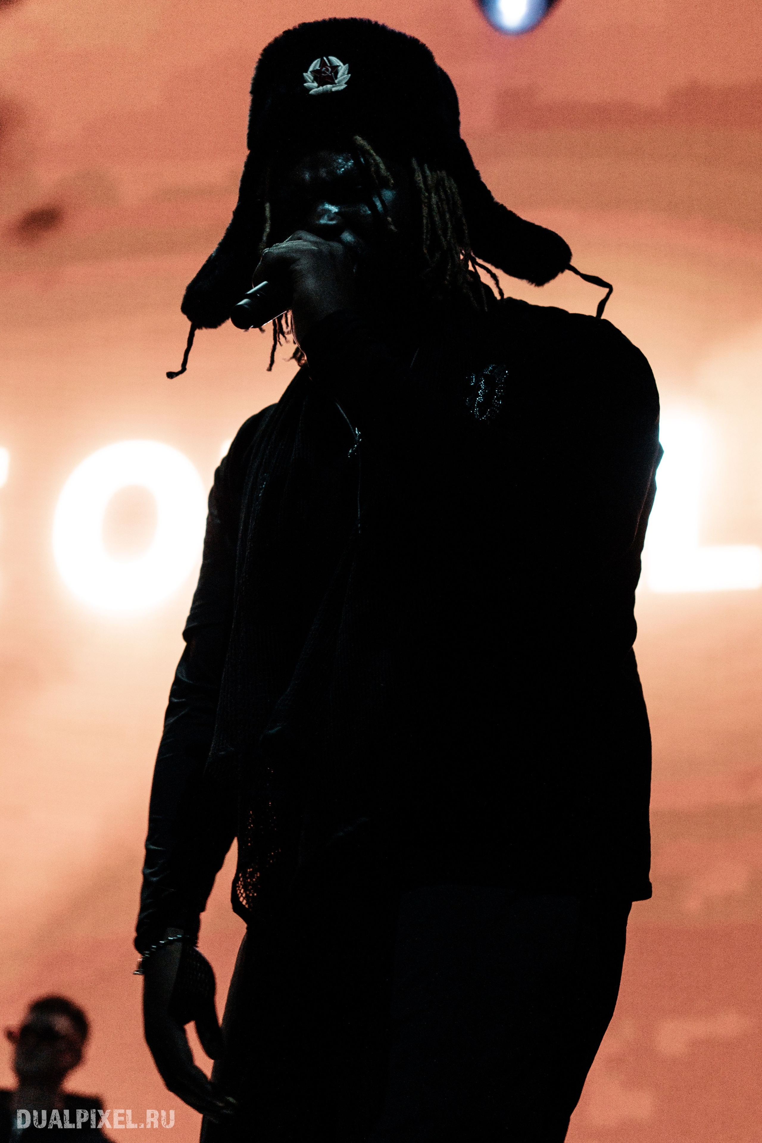 Prince Of Falls. Магия музыки в кадре: Концертная Фотография