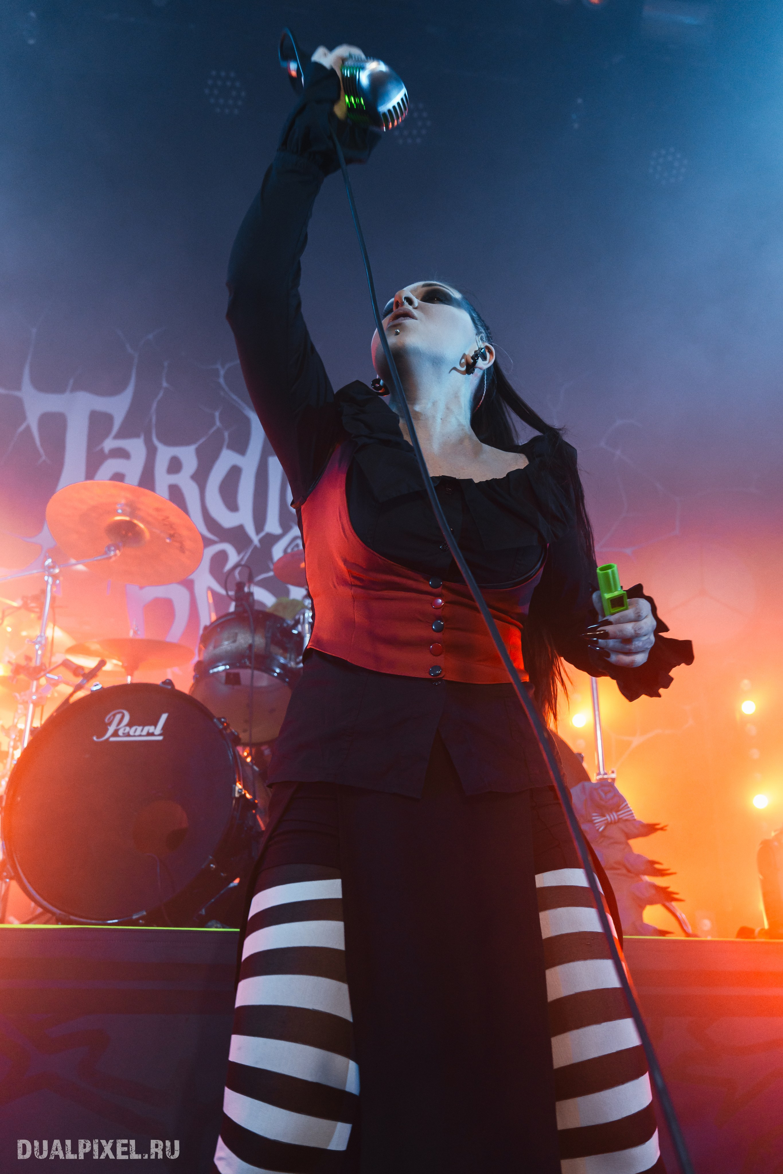 TARDIGRADE INFERNO. Магия музыки в кадре: Концертная Фотография