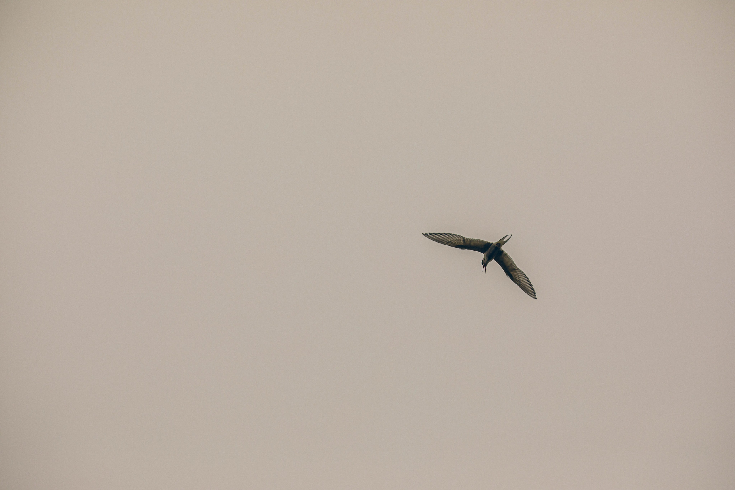 Кольский полуостров. Фотографирую для себя, своей семьи и друзей!