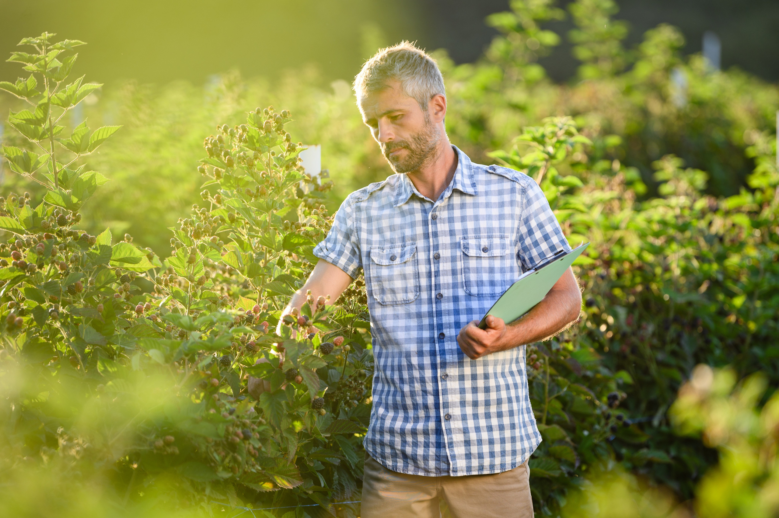 Проекты. Профессиональный фотограф Вячеслав Плацында | Липецк |
