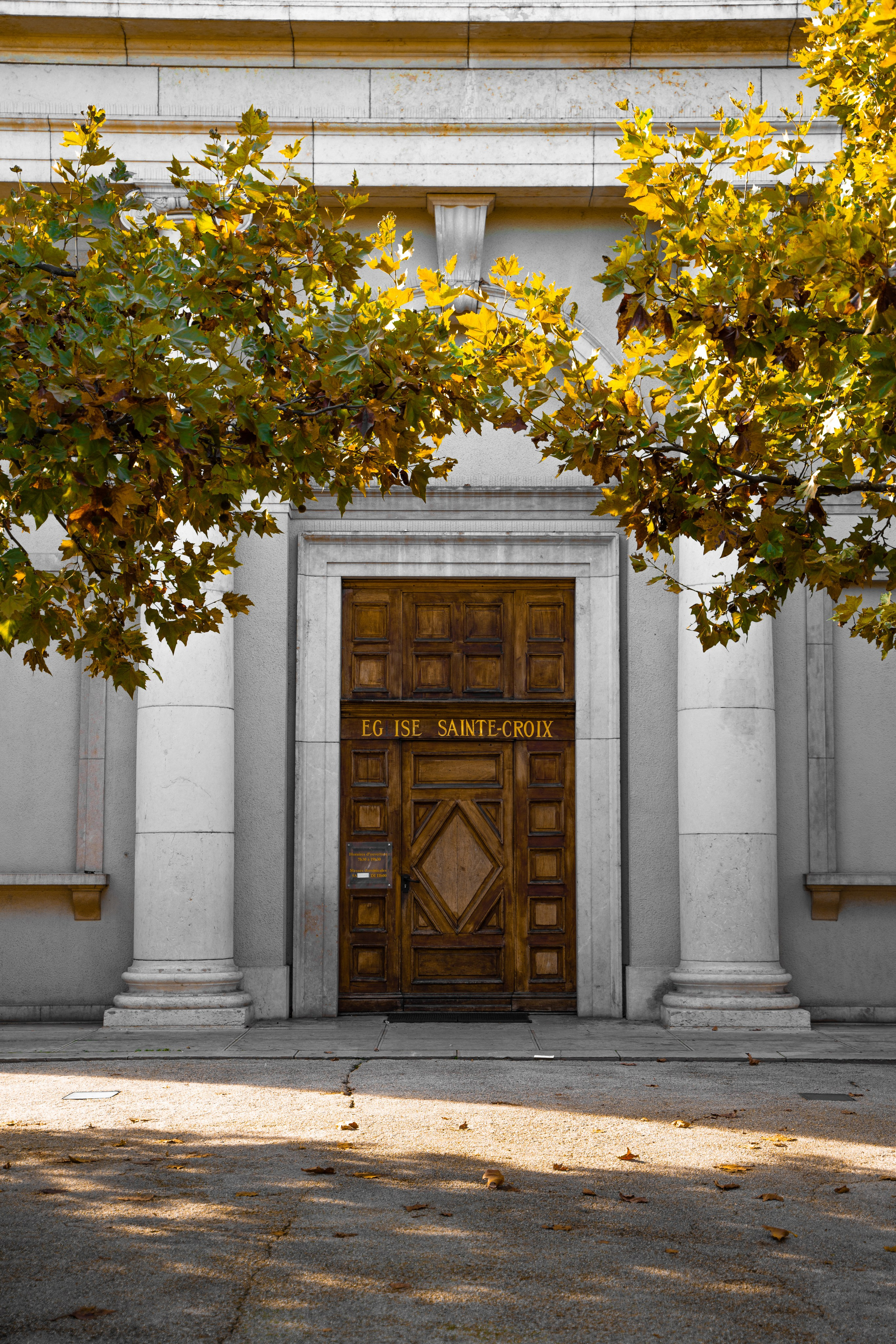 Swiss Landscape Photographer | Geneva, Alps & Lake Geneva - Tanya. Professional Wedding Photographer Geneva & Romande Switzerland | Tanya Creator