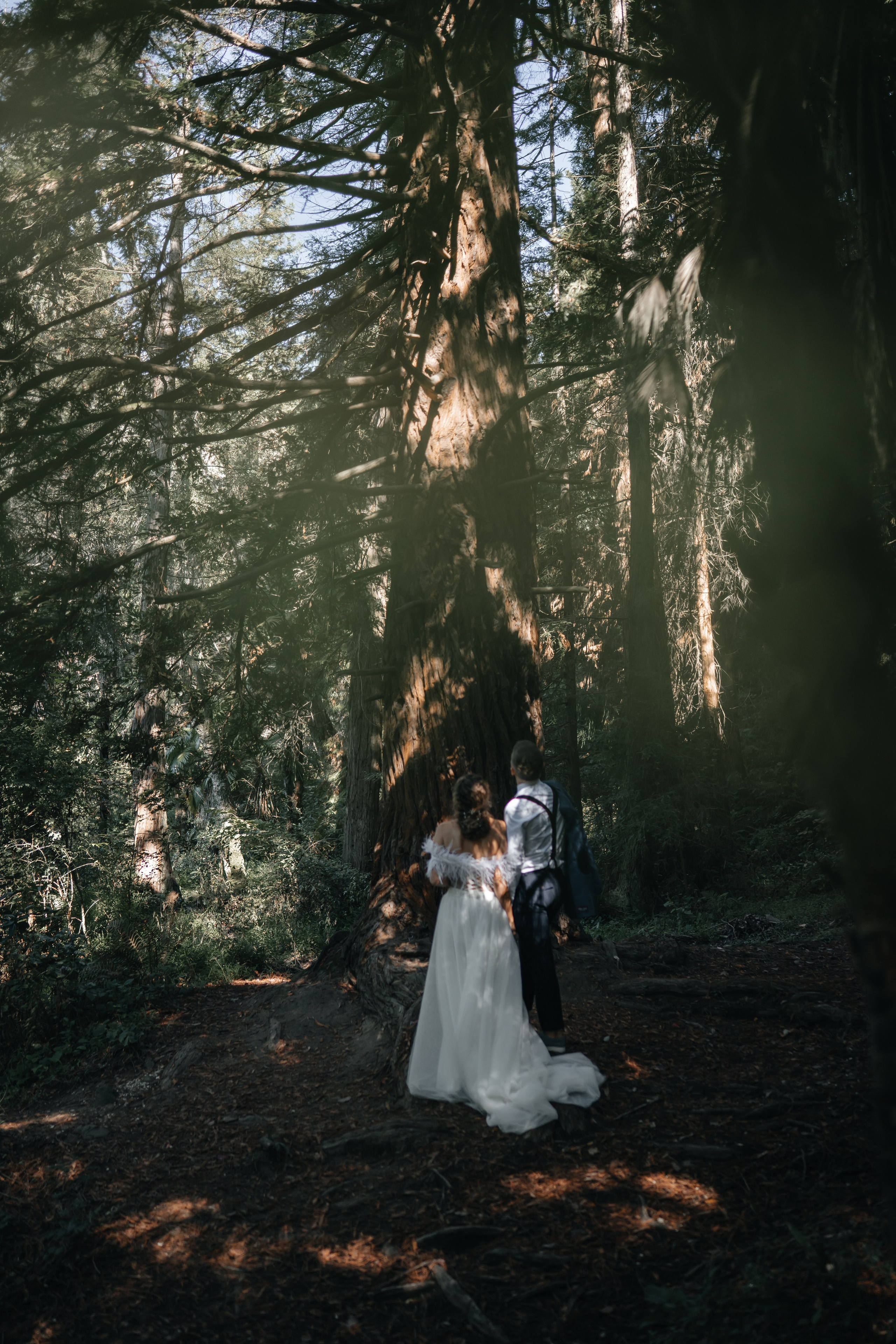 Свадьба Дмитрия и Алёны. Главная