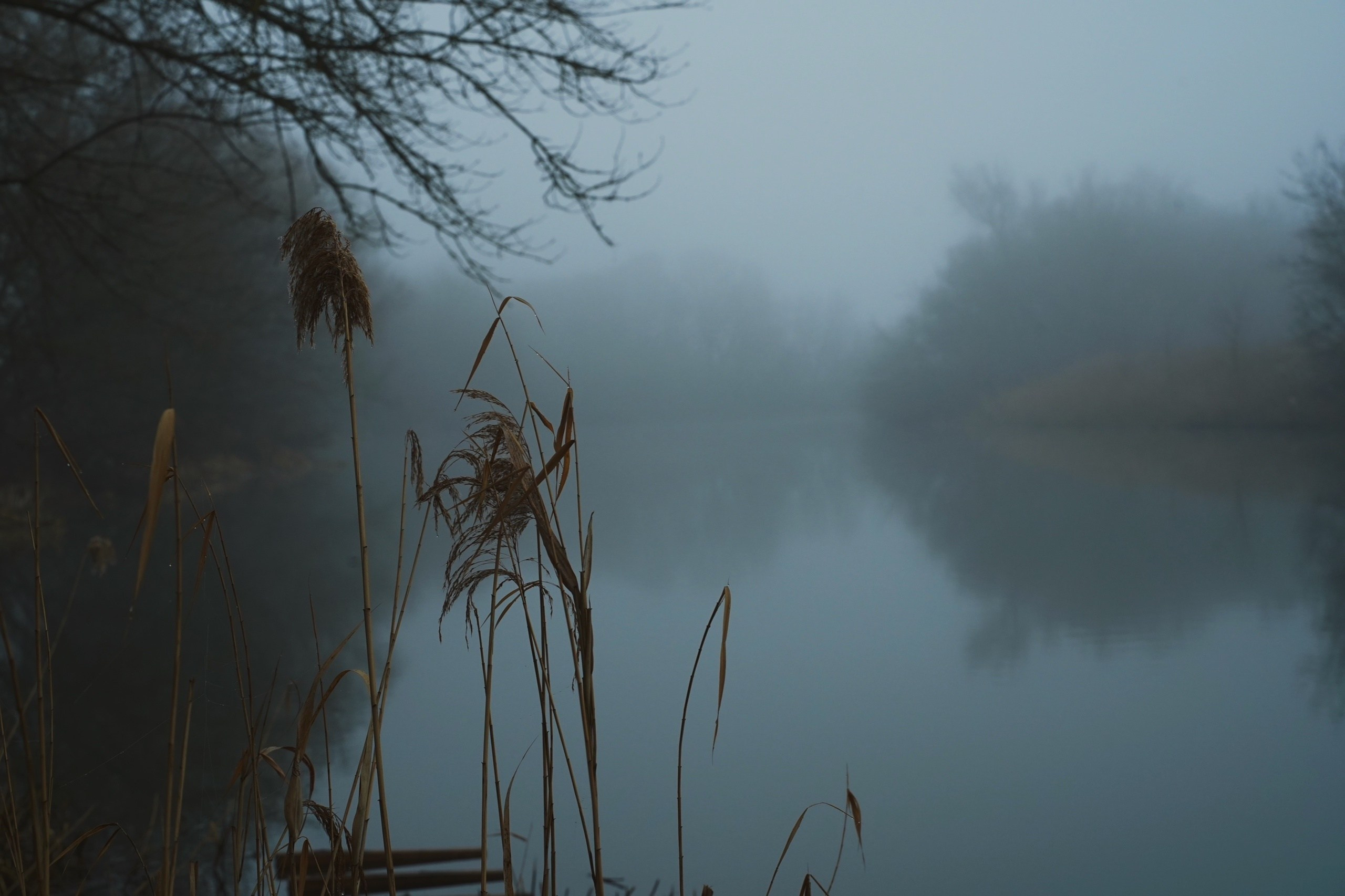 DIRTY RABBIT. Фотограф и визуальный художник в Туле / Николай Рейзвих