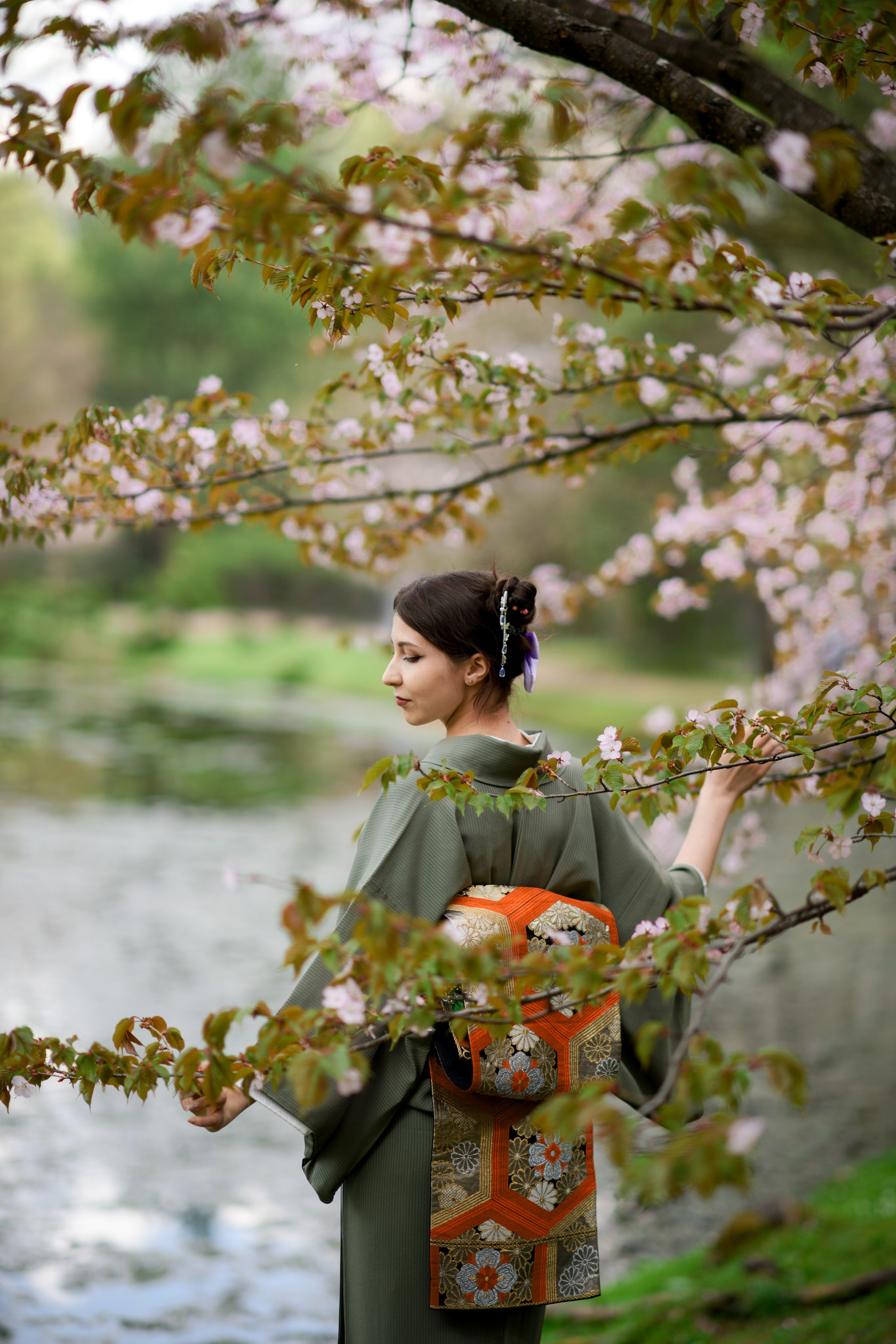 Любование цветением сакуры в Японском саду. Главная