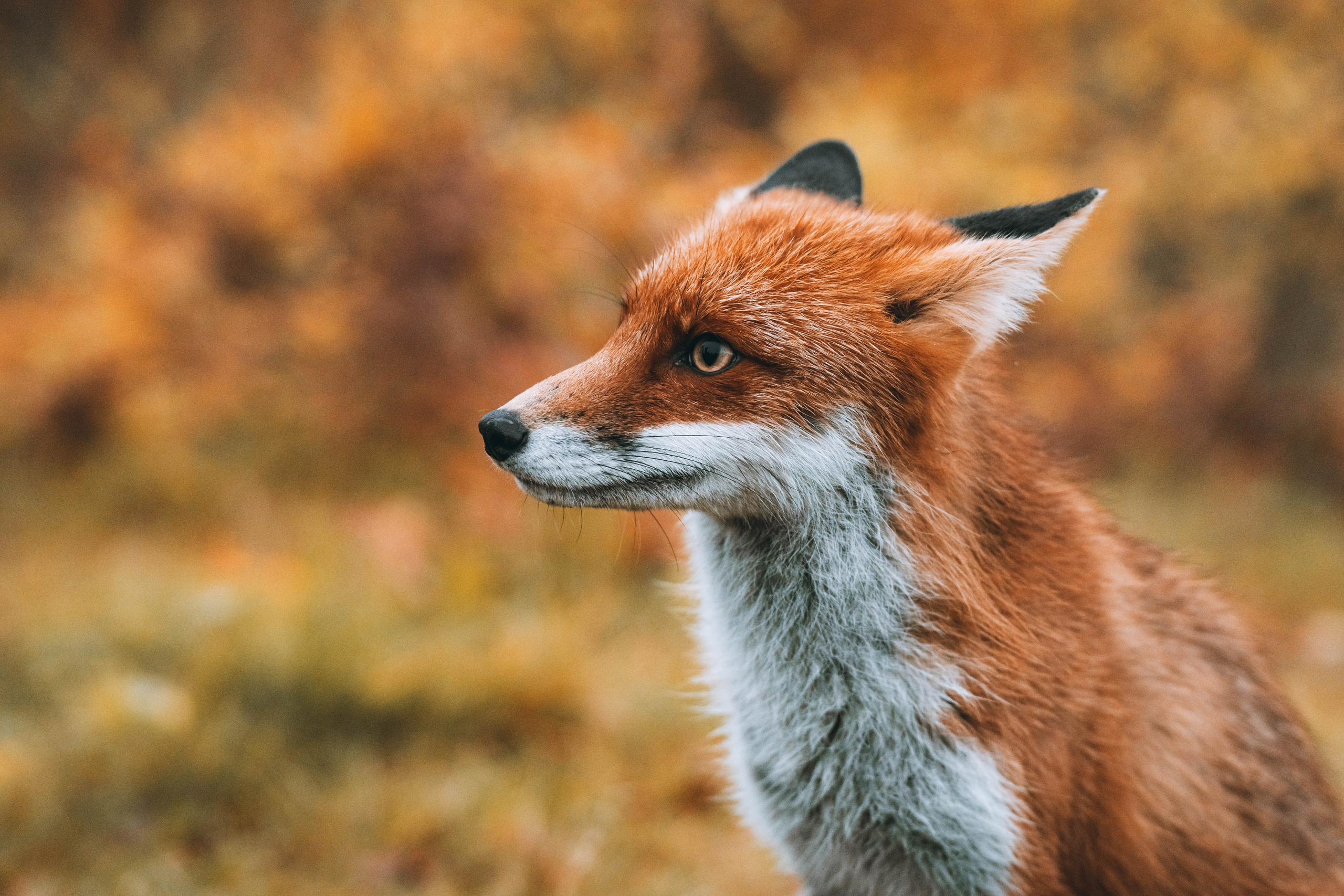 СЕВЕР. Event фотограф Степанова Александра