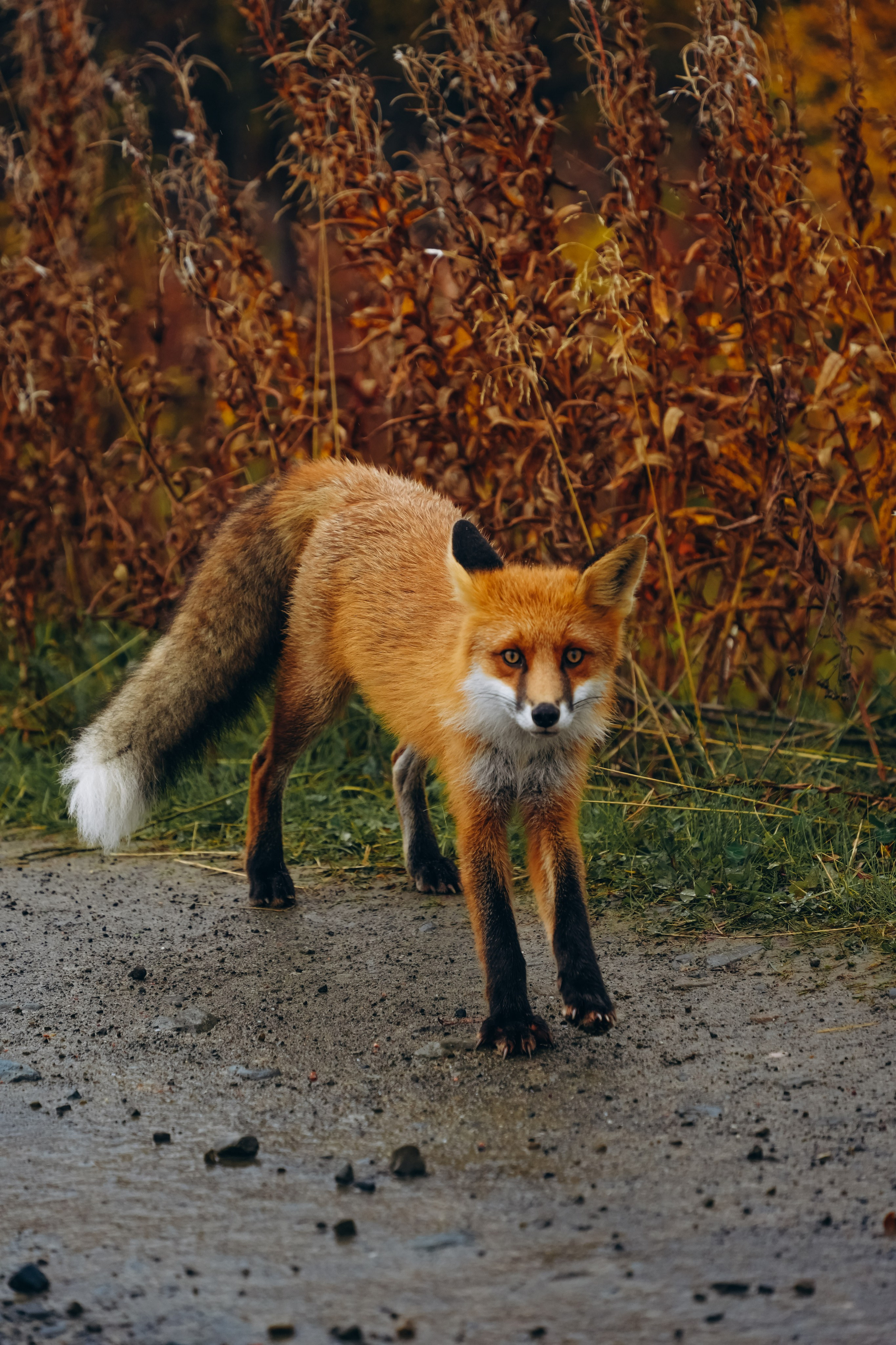 СЕВЕР. Event фотограф Степанова Александра