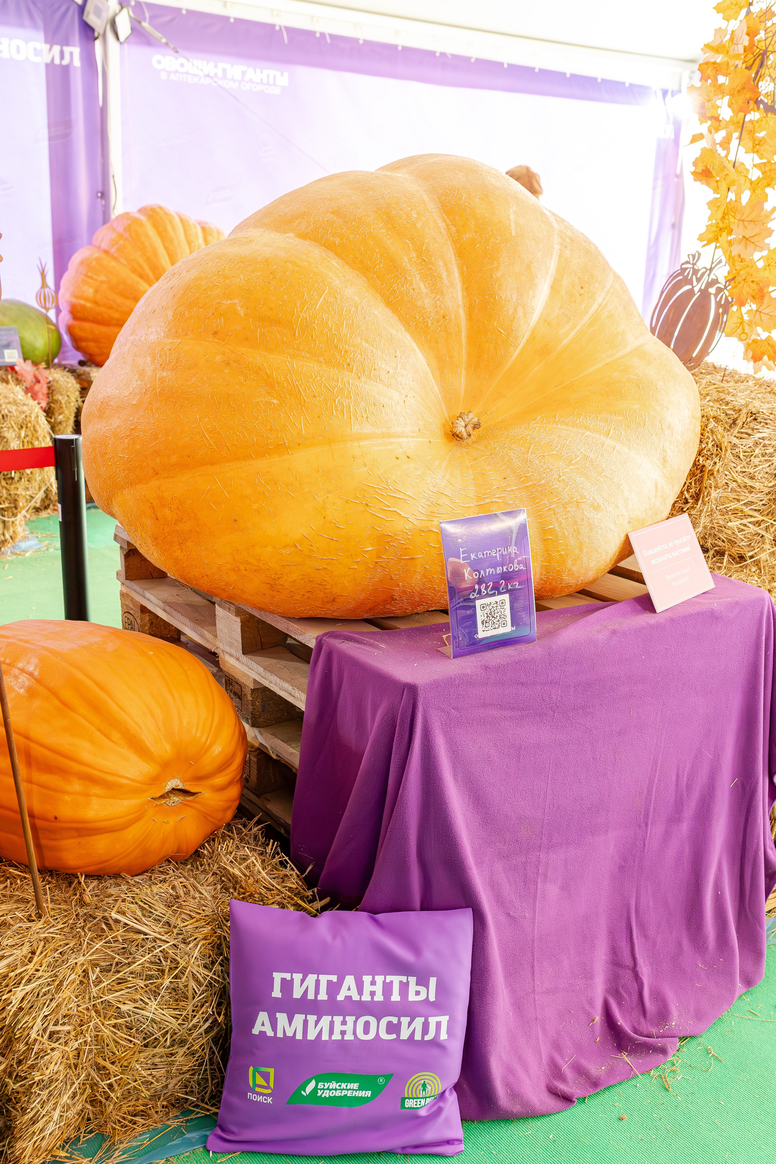 Овощи-гиганты. Александра Куликова фотограф, Москва