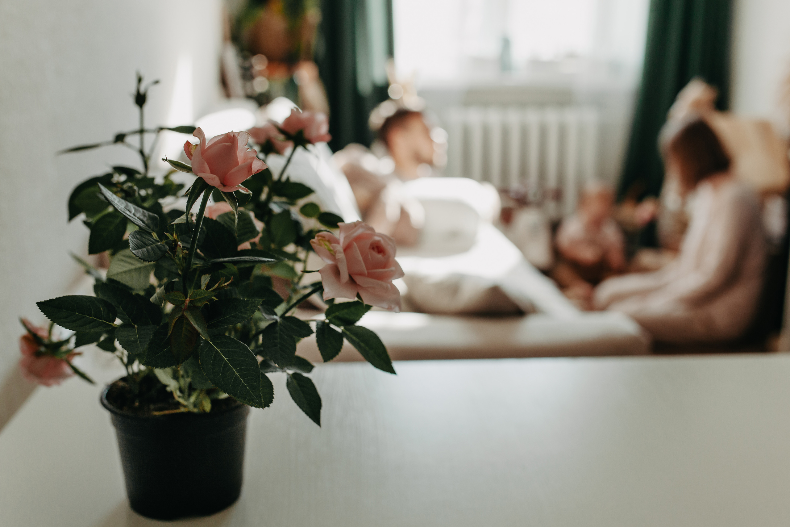 Домашняя съёмка в Тюмени. Фотограф Шелудкова Яна, город Тюмень