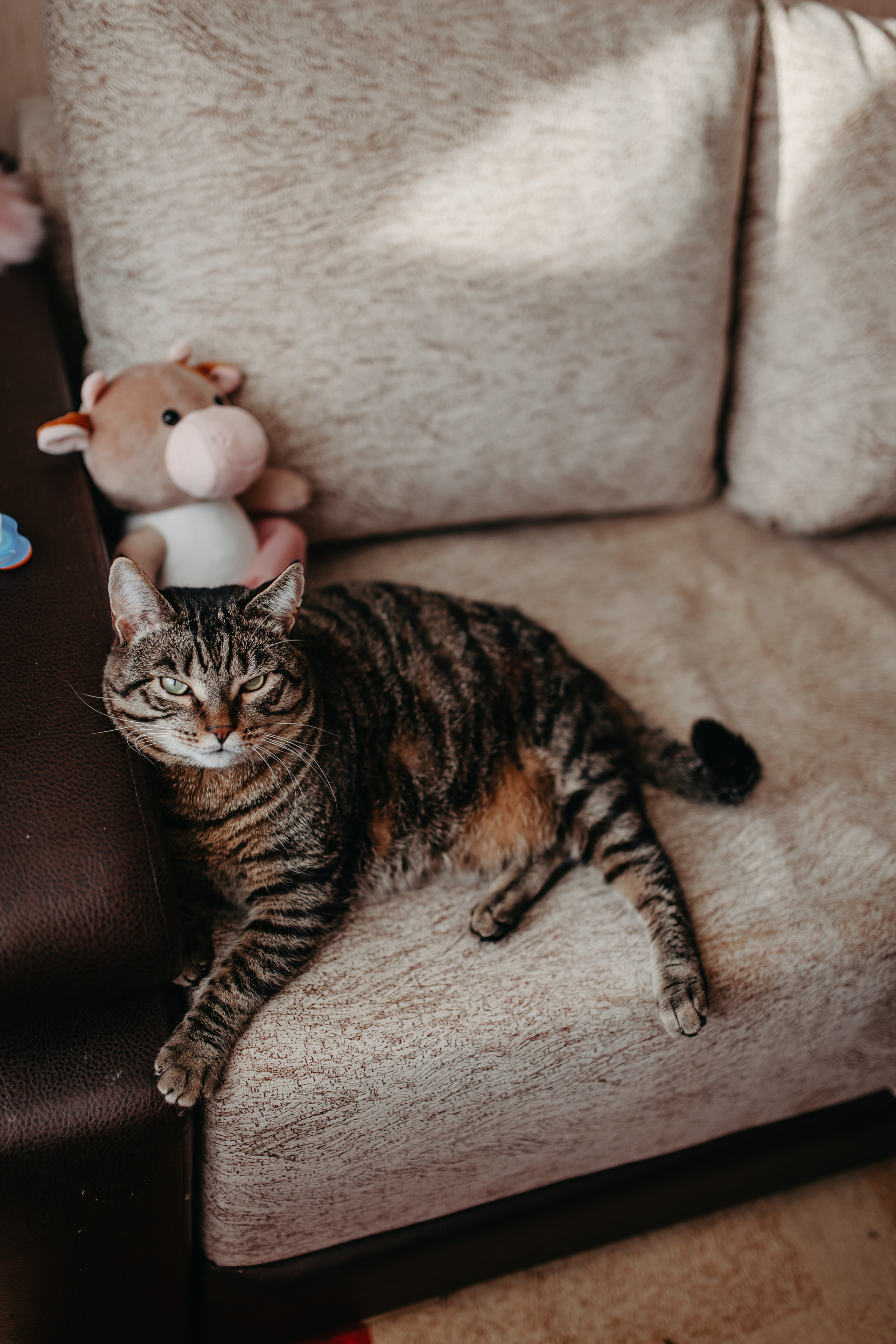 Домашняя фотосессия. Фотограф Шелудкова Яна, город Тюмень