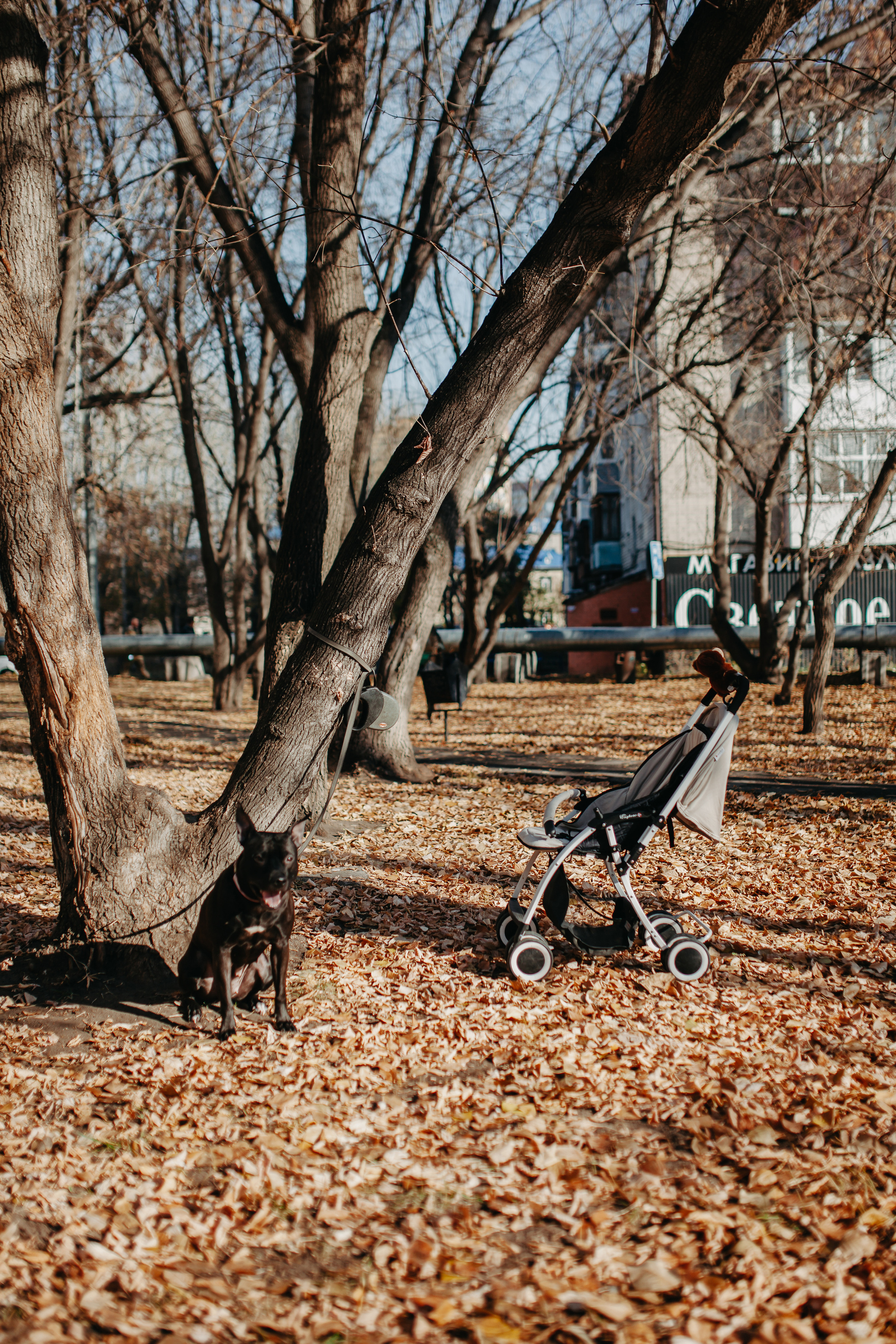 Домашняя съёмка в Тюмени. Фотограф Шелудкова Яна, город Тюмень
