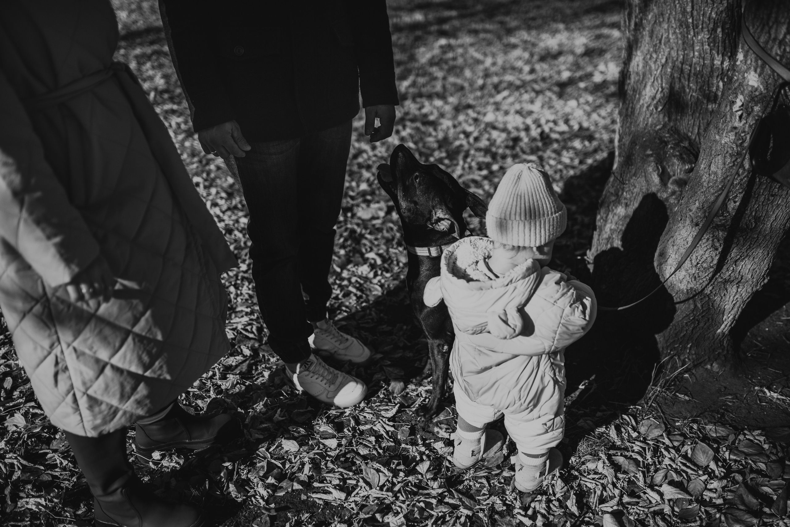 Домашняя съёмка в Тюмени. Фотограф Шелудкова Яна, город Тюмень