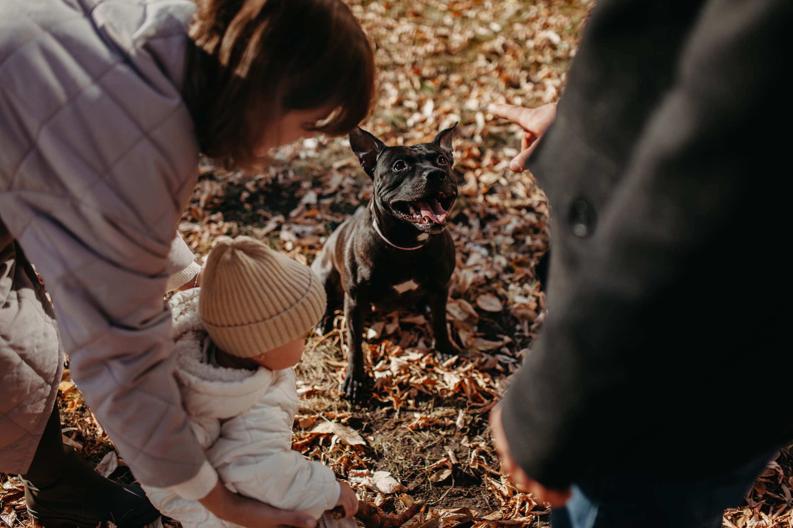 Домашняя съёмка в Тюмени. Фотограф Шелудкова Яна, город Тюмень