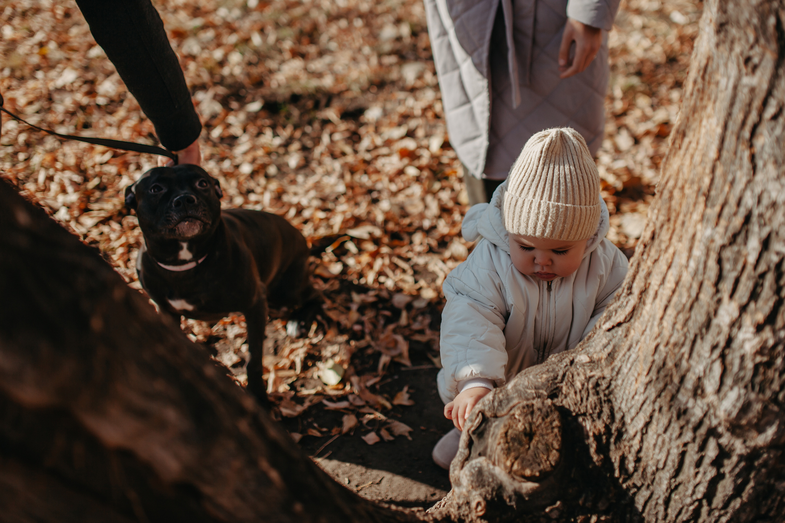 Домашняя съёмка в Тюмени. Фотограф Шелудкова Яна, город Тюмень