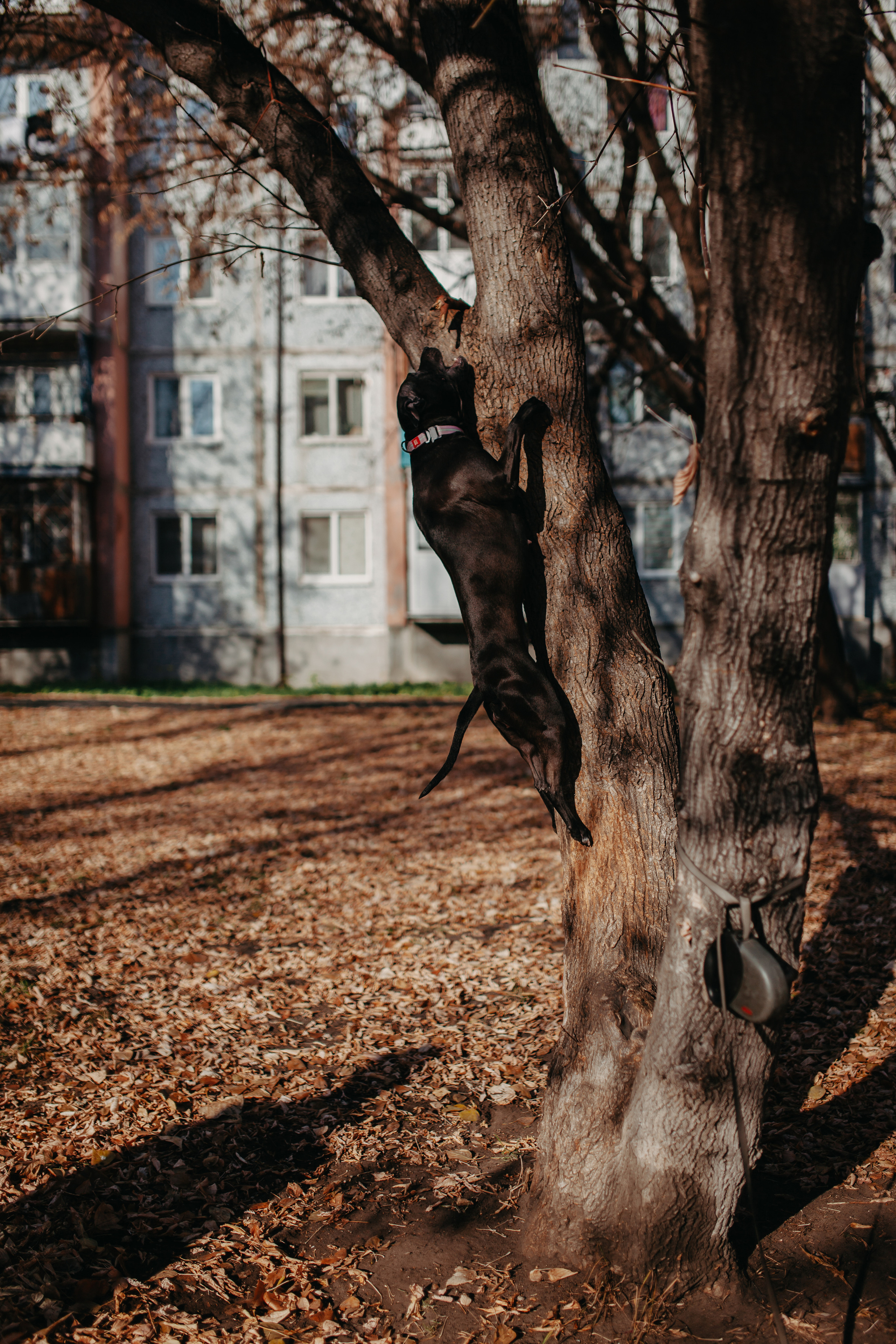 Домашняя съёмка в Тюмени. Фотограф Шелудкова Яна, город Тюмень