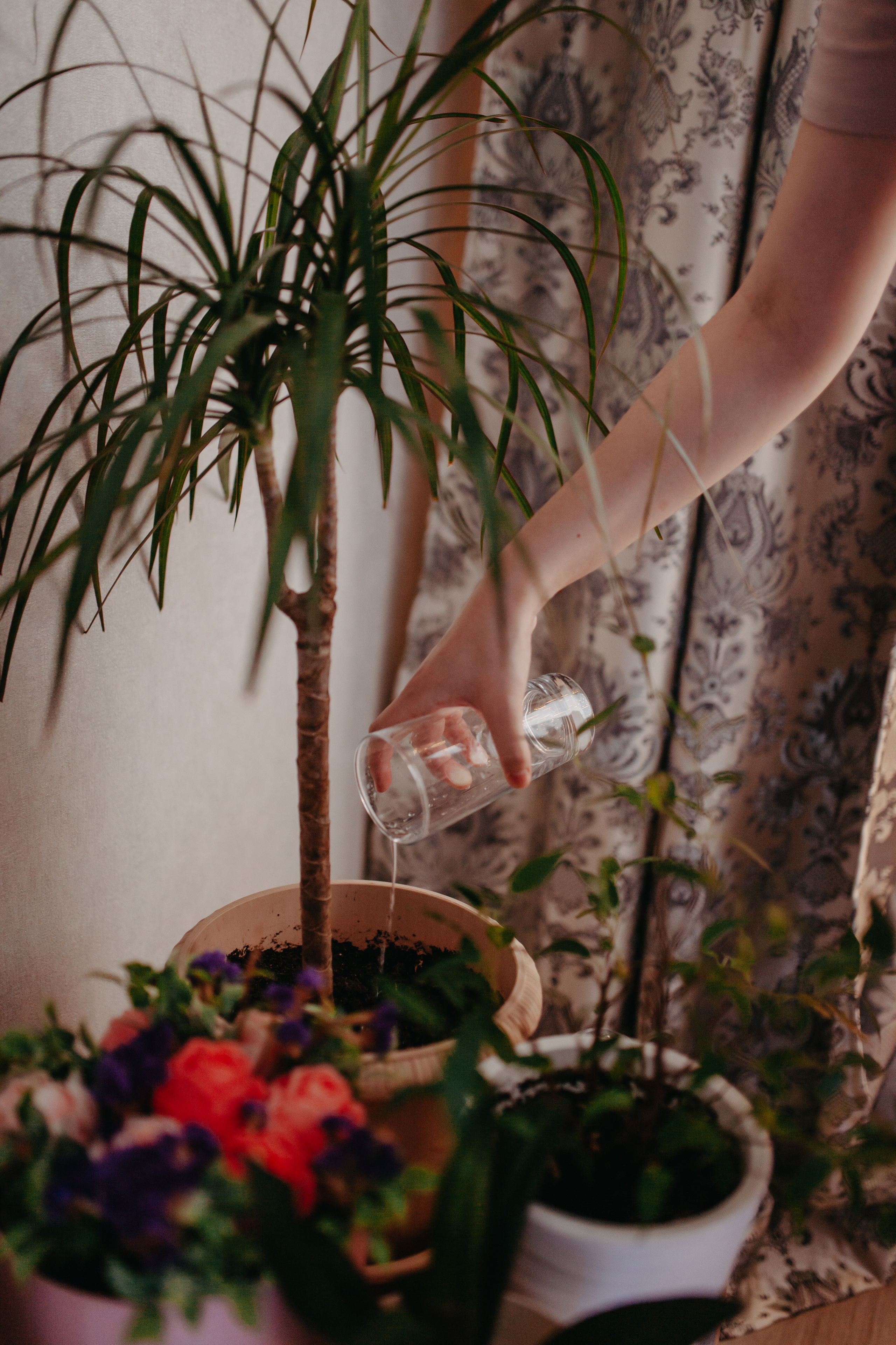 Домашняя новогодняя история. Фотограф Шелудкова Яна, город Тюмень