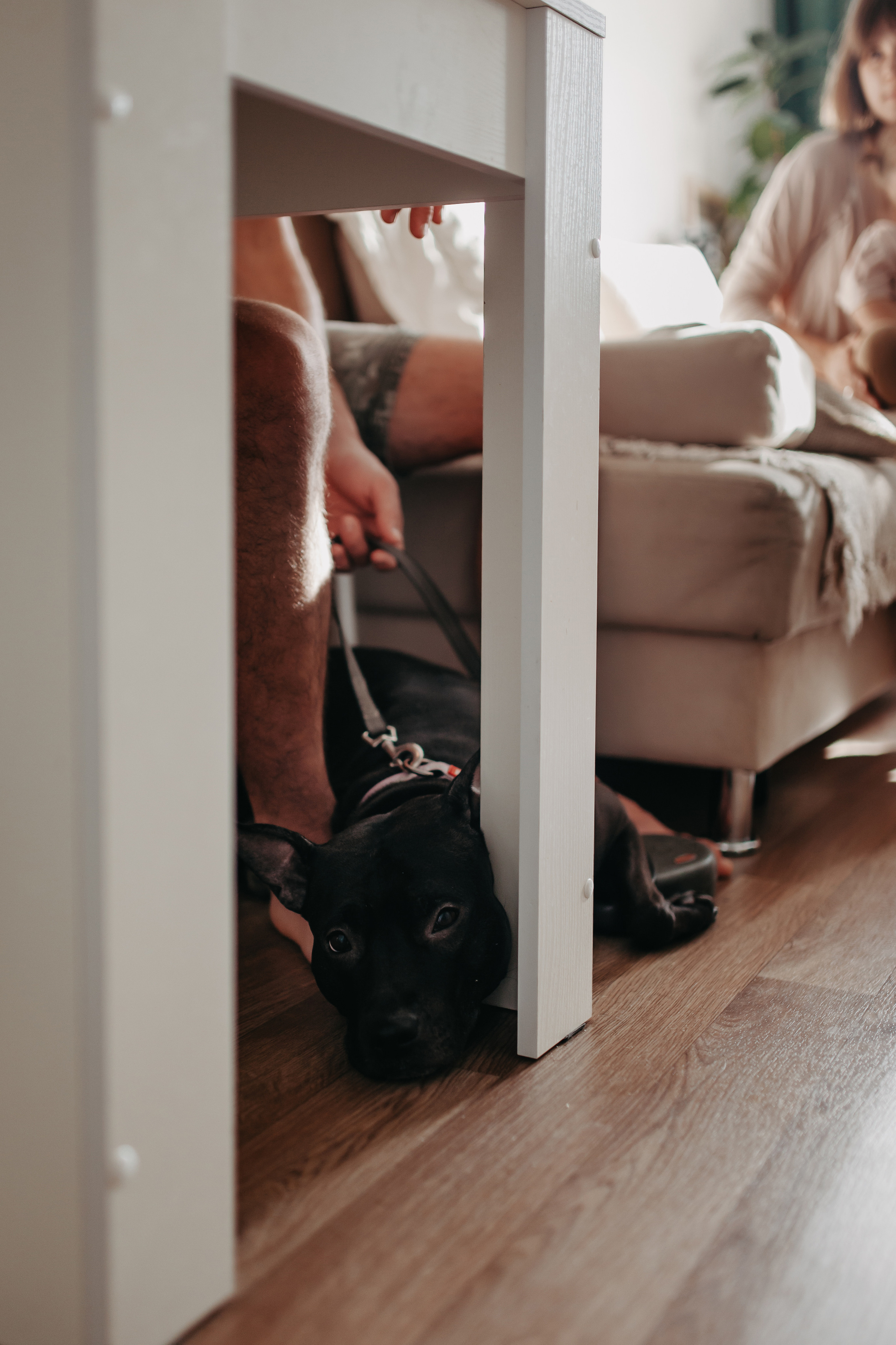 Домашняя съёмка в Тюмени. Фотограф Шелудкова Яна, город Тюмень