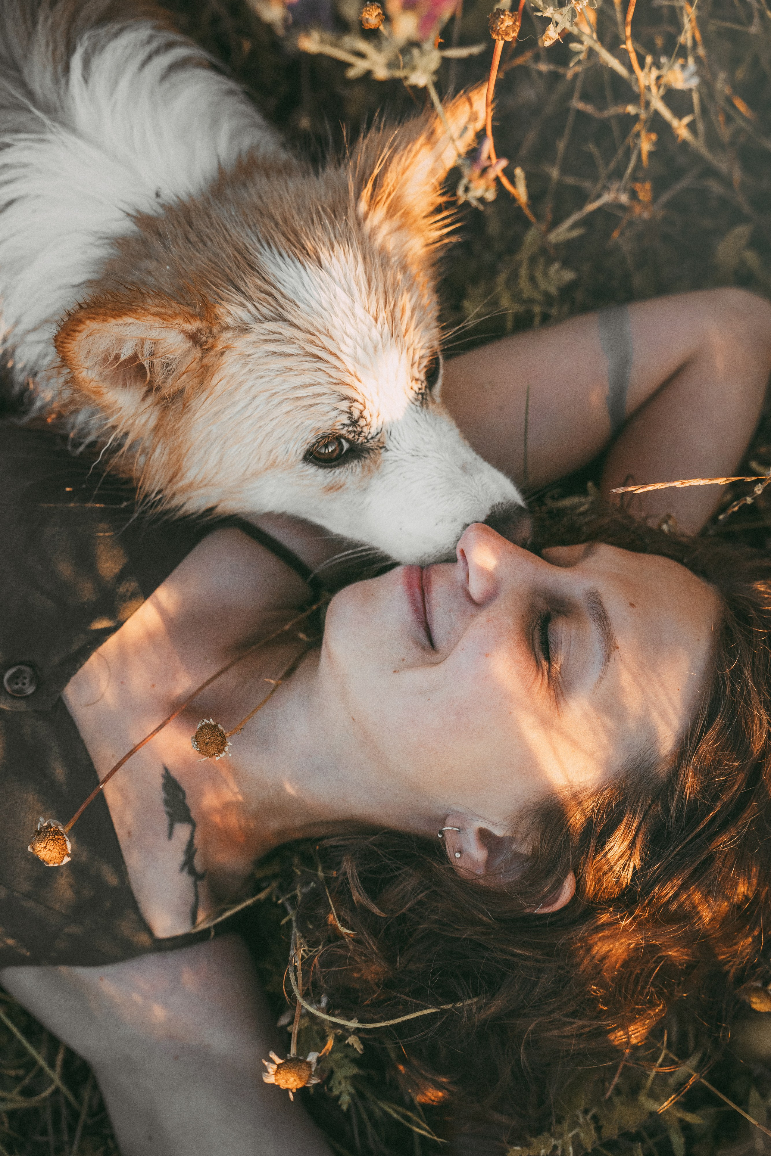 Рина и Марси. Фотограф анималист в Москве и Санкт-Петербурге Свиридова Анна