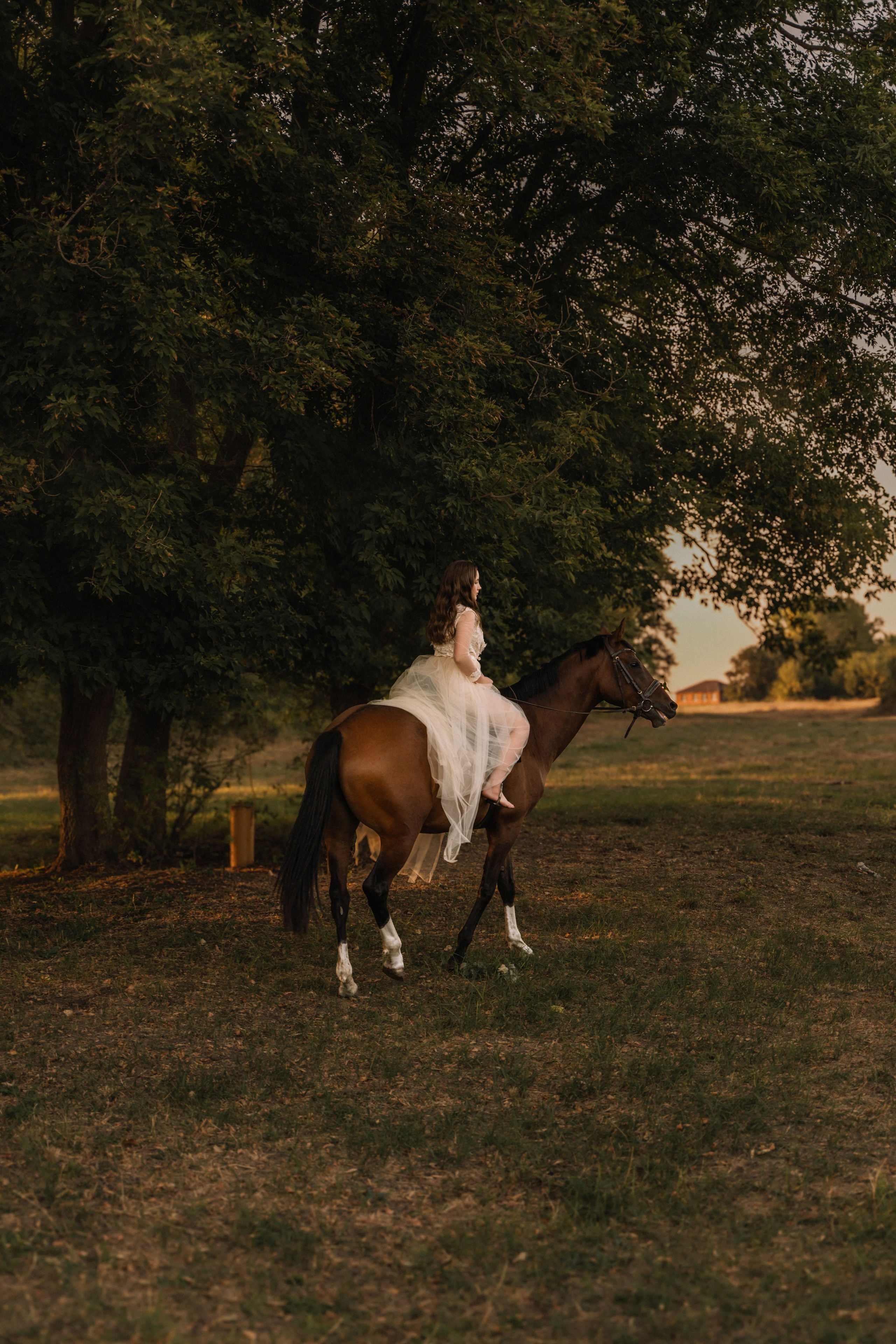 Евгения. Фотосессия с лошадьми. Семейный фотограф в Белгороде Амелина Алина