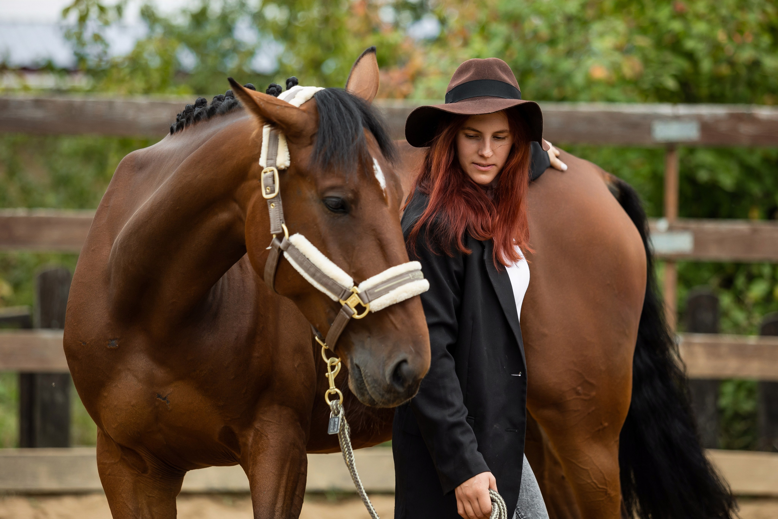 ФОТОСЕССИИ С ЖИВОТНЫМИ. Свадебный фотограф Санкт-Петербург Катерина Ширяева