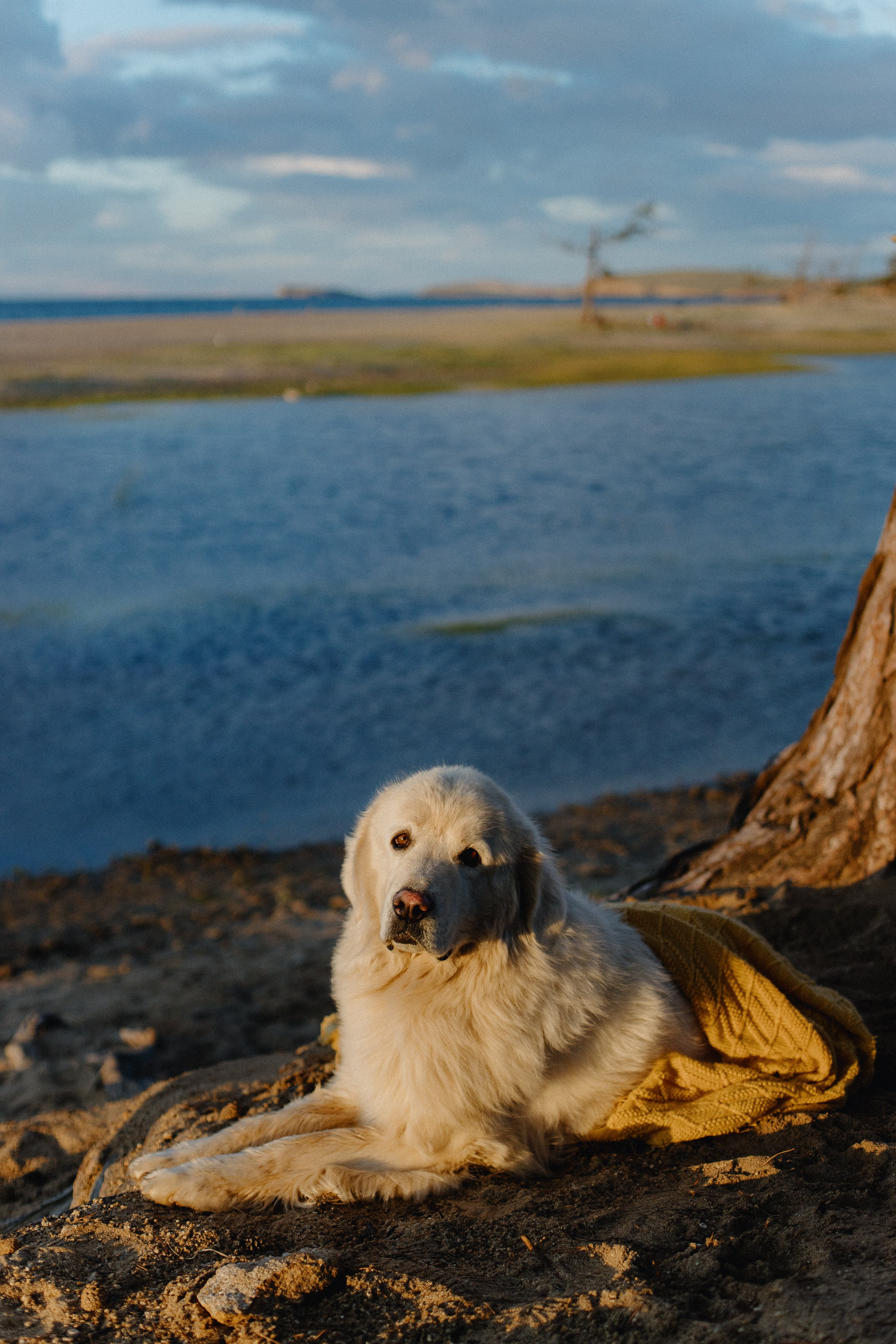 Василина, Костя и Проня. Фотограф Ольхон/ Индия, Регина