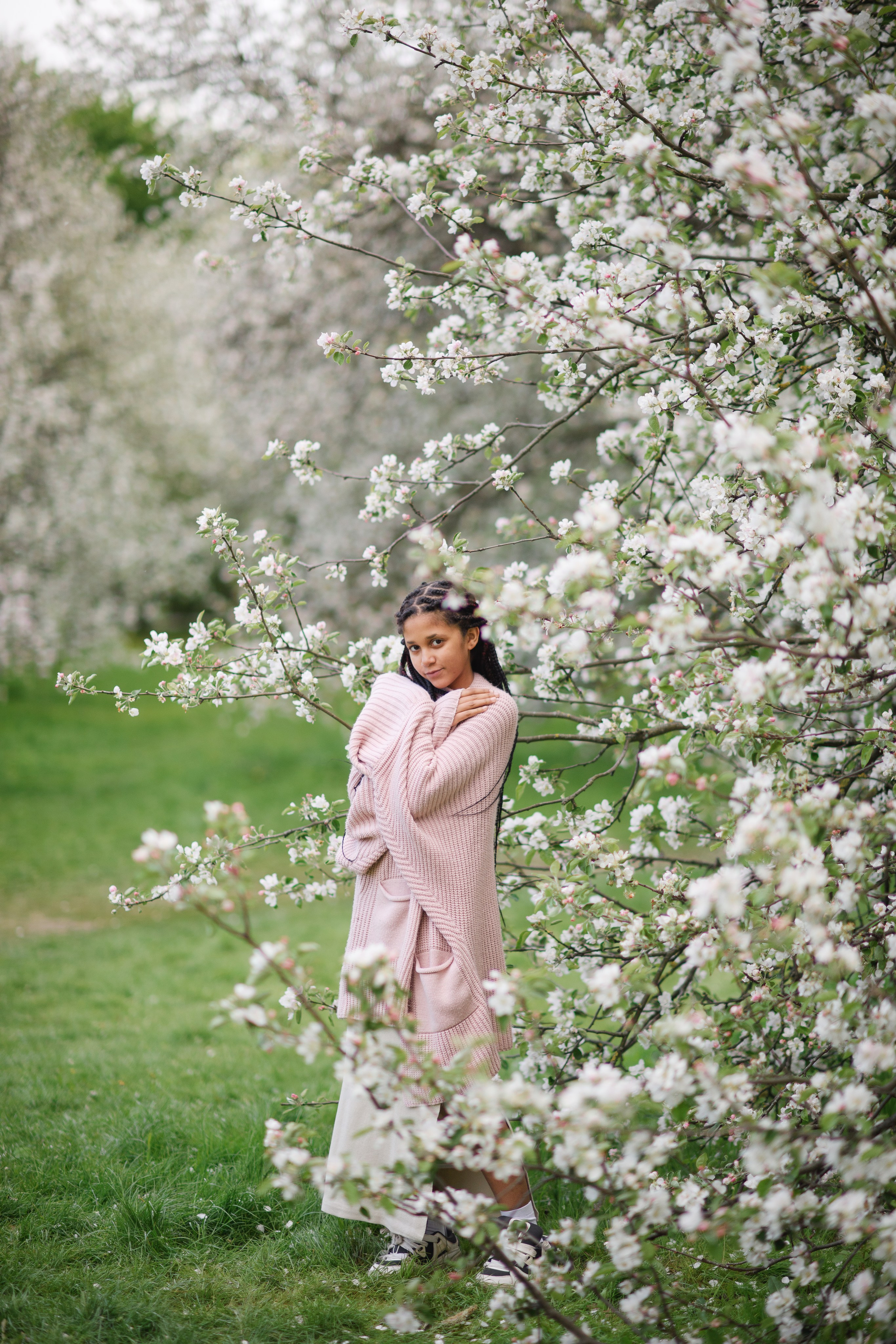 Яблони в Коломенском. Ясмина. Главная