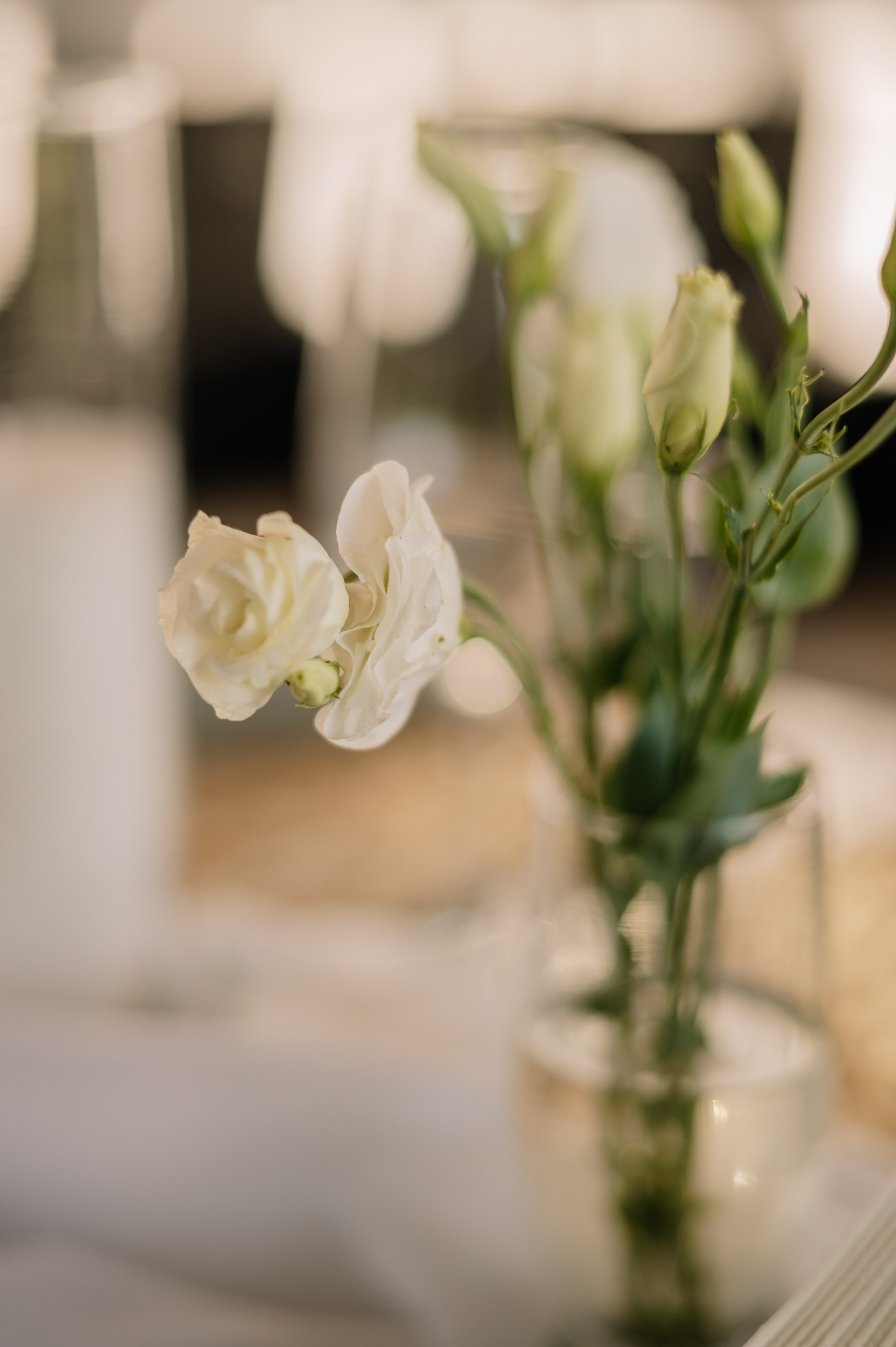 Роман и Виктория. Свадебный фотограф