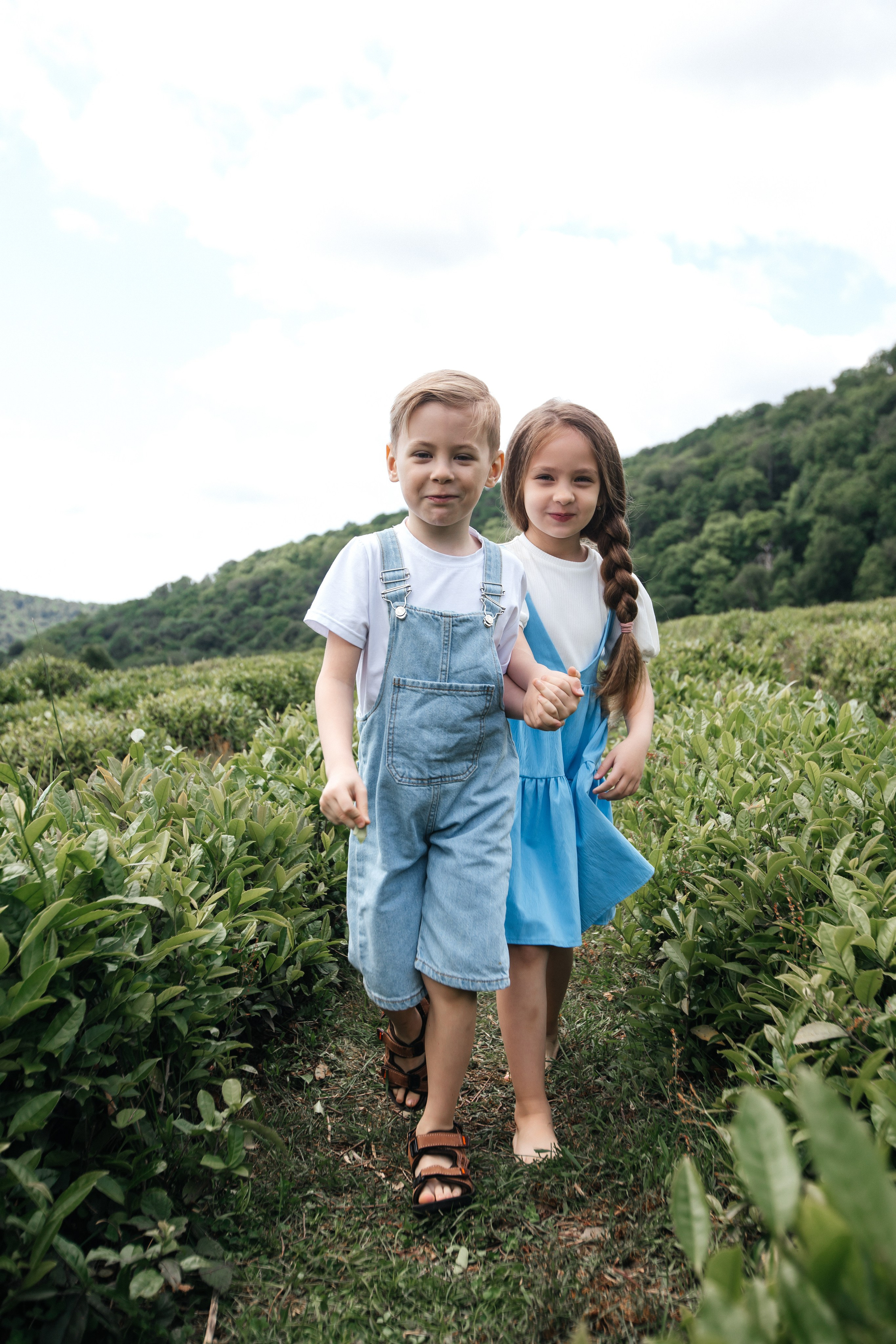 Tea plantation. Efimova Model Agency