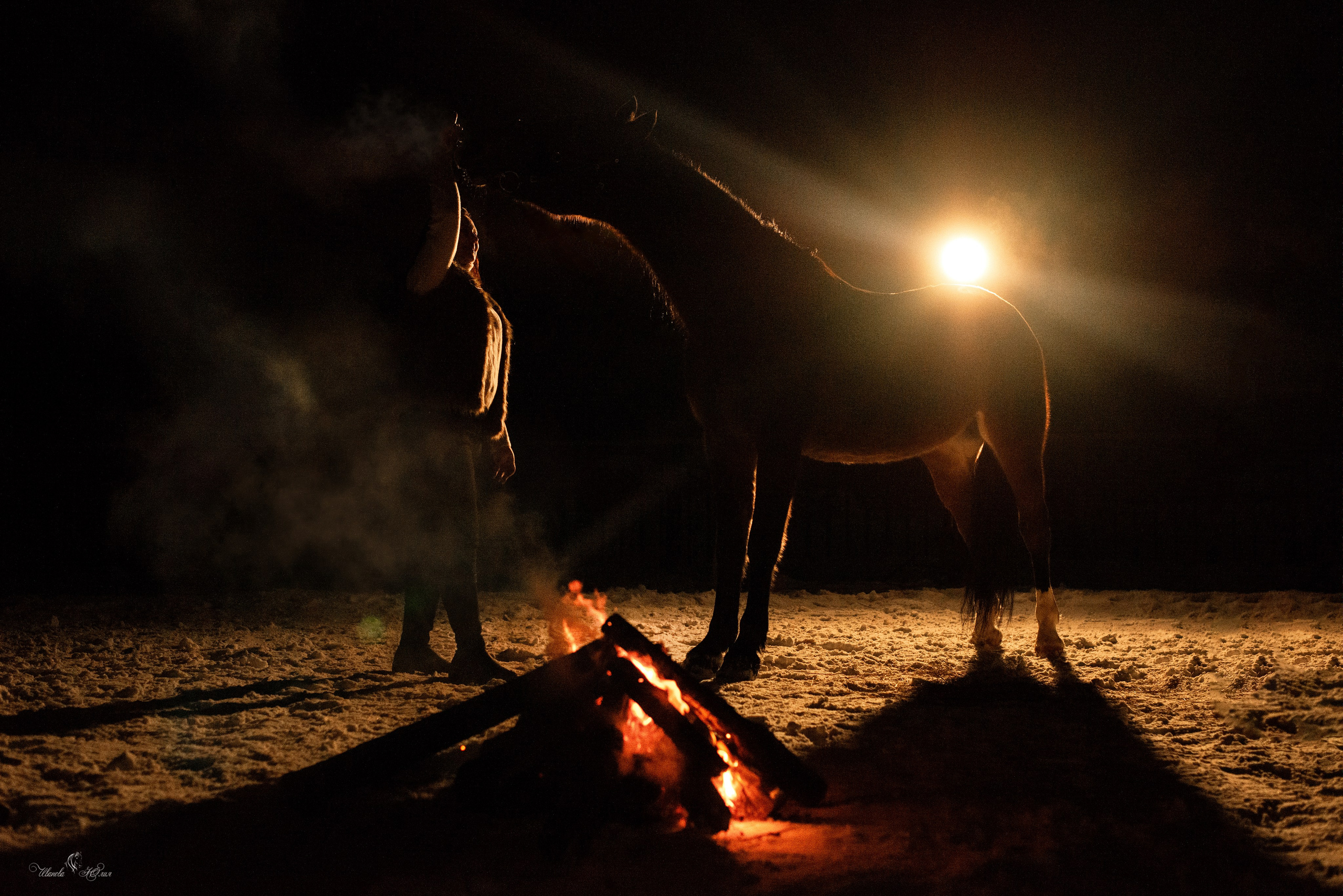 Татьяна и Холмогор. Конный фотограф в Саратове Юлия Иванова