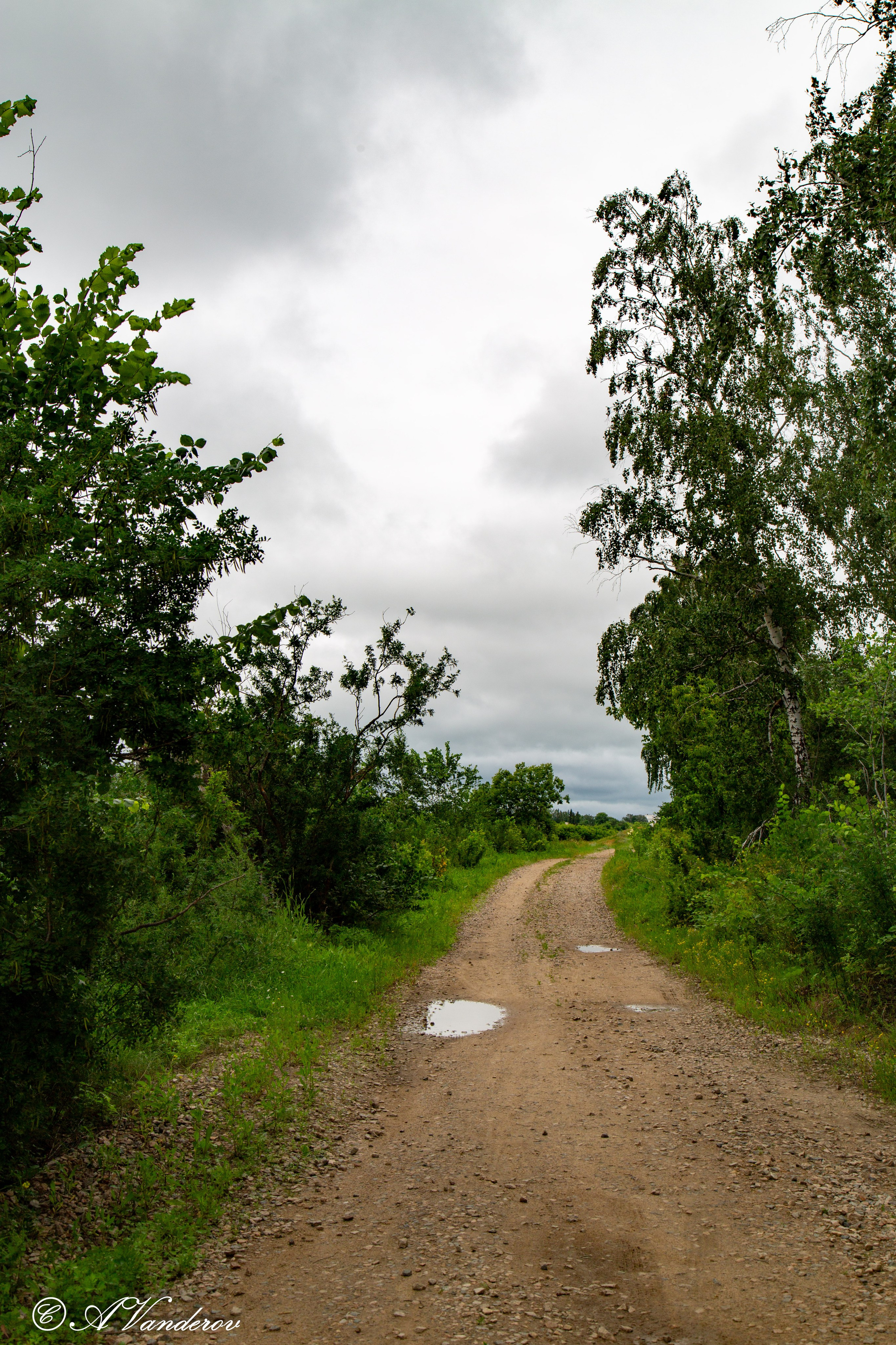 Калачинск 07.07.2024. Фотограф Омск | Александр Вандеров