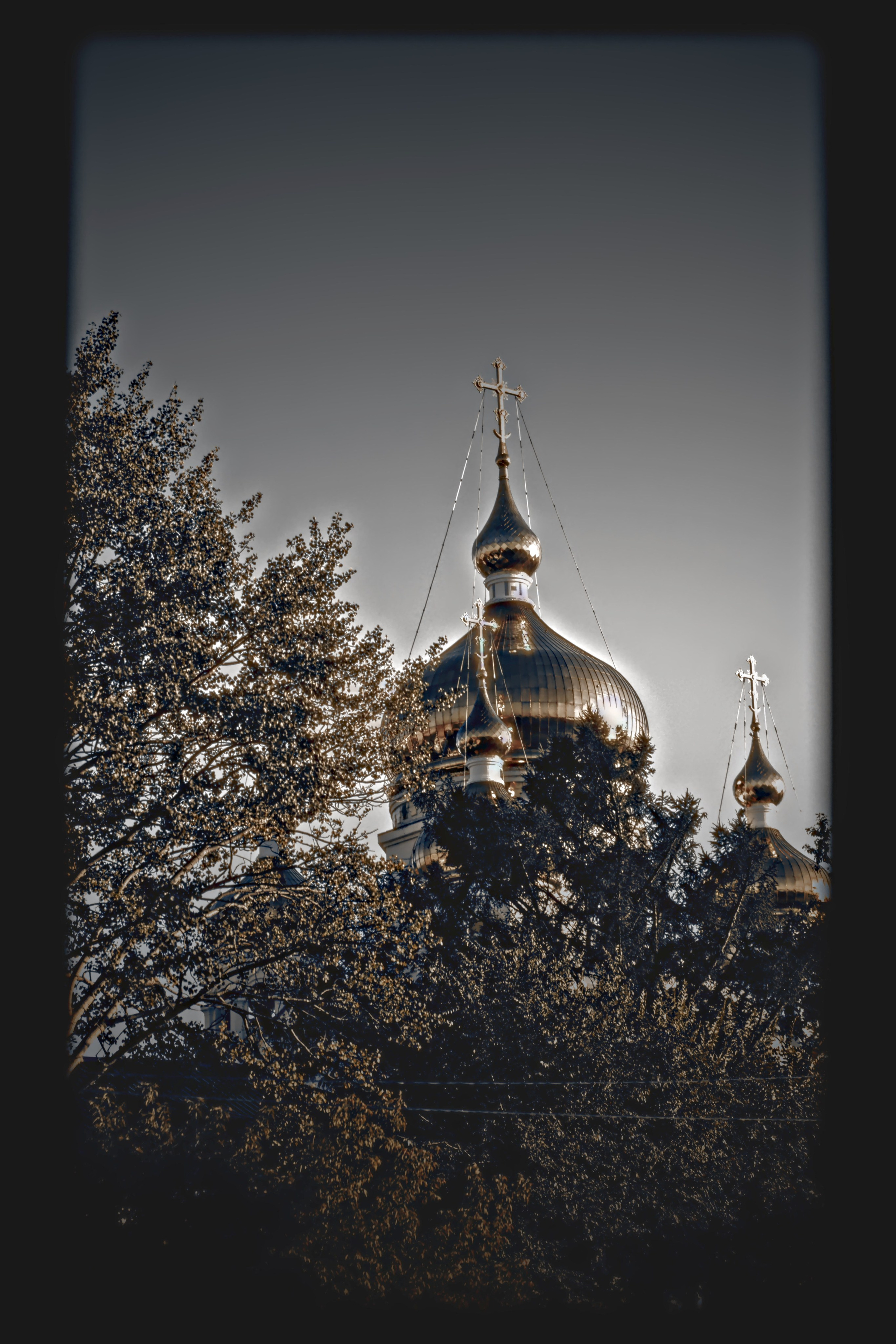 ГОРОД. OSTERMAN — винтажно-ностальгическая фотография | Хабаровск