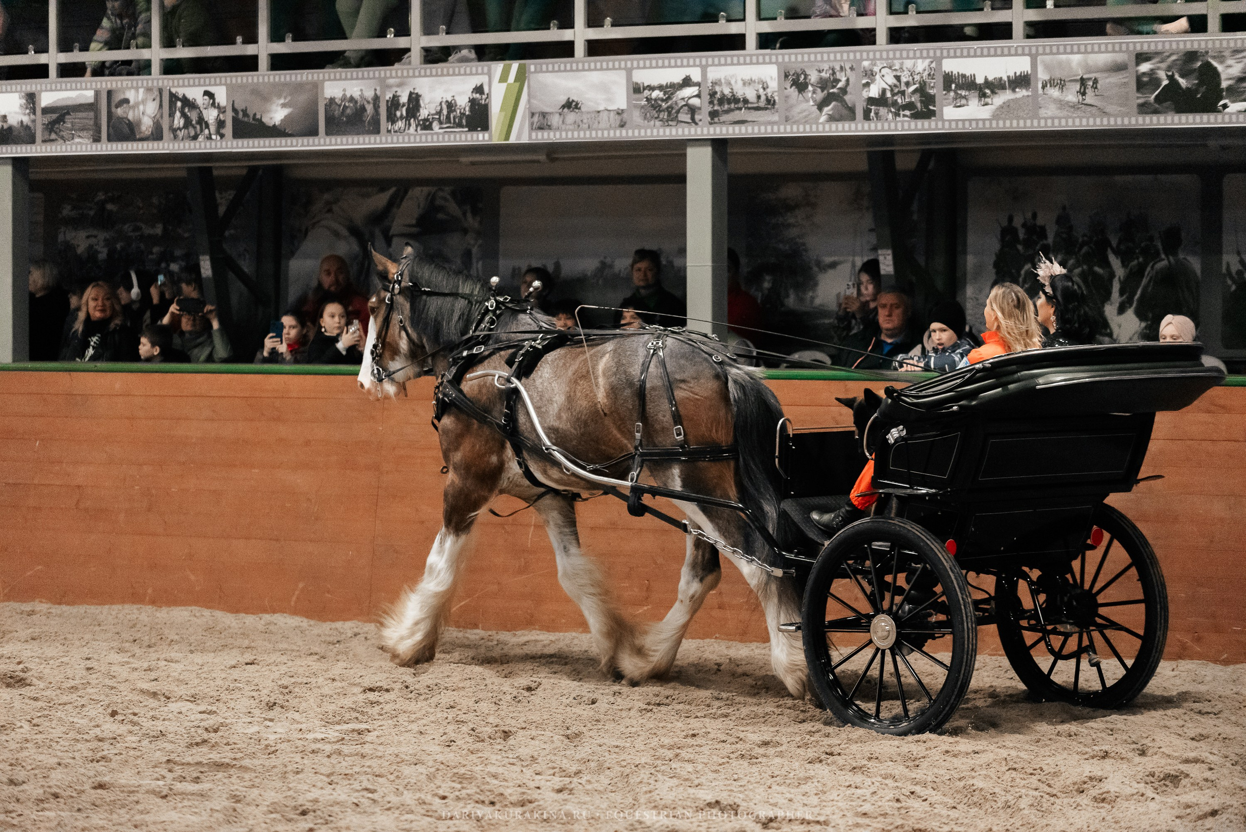 Конное представление «Дыхание Звёзд». Конный фотограф Куракина Дарья • Фотосессии с лошадьми