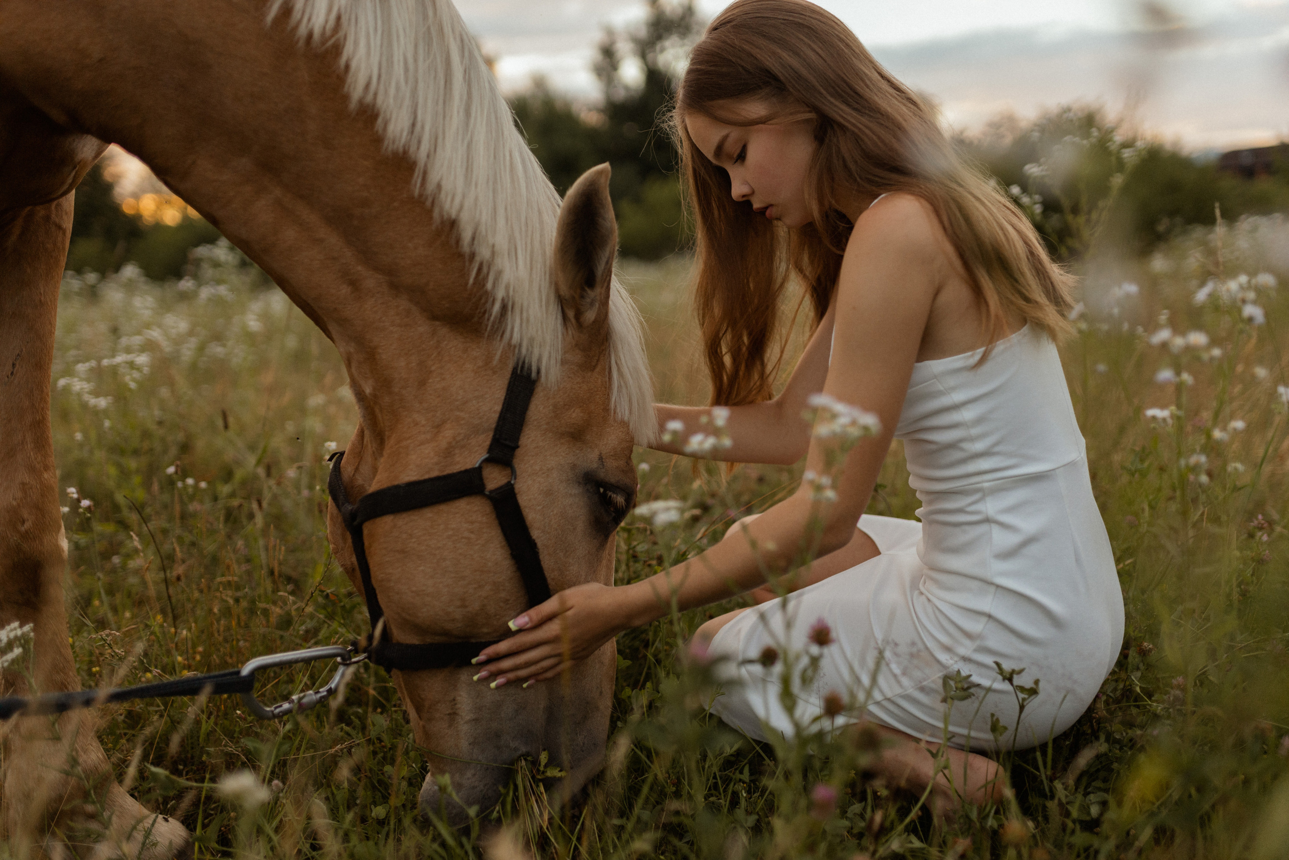 История с лошадью. Фотограф в Краснодаре Юлия Перкунова