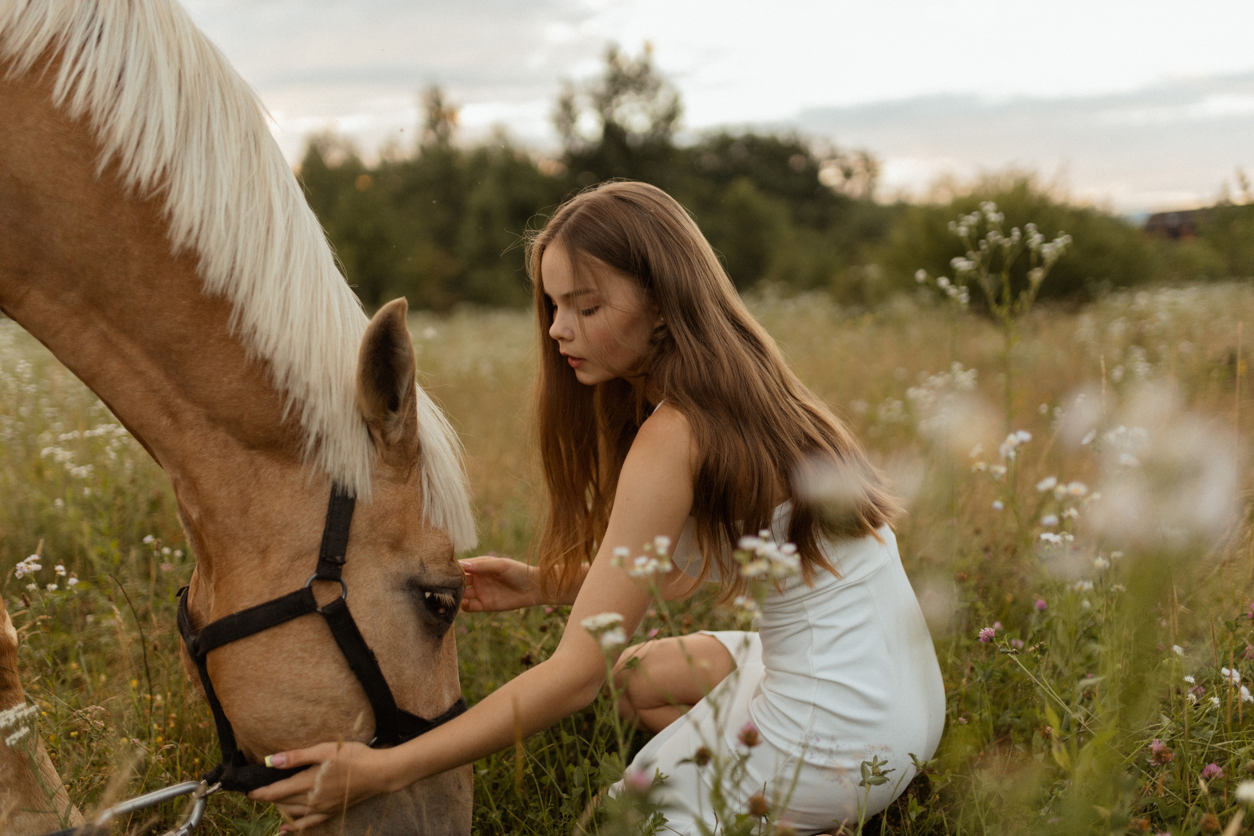 История с лошадью. Фотограф в Краснодаре Юлия Перкунова
