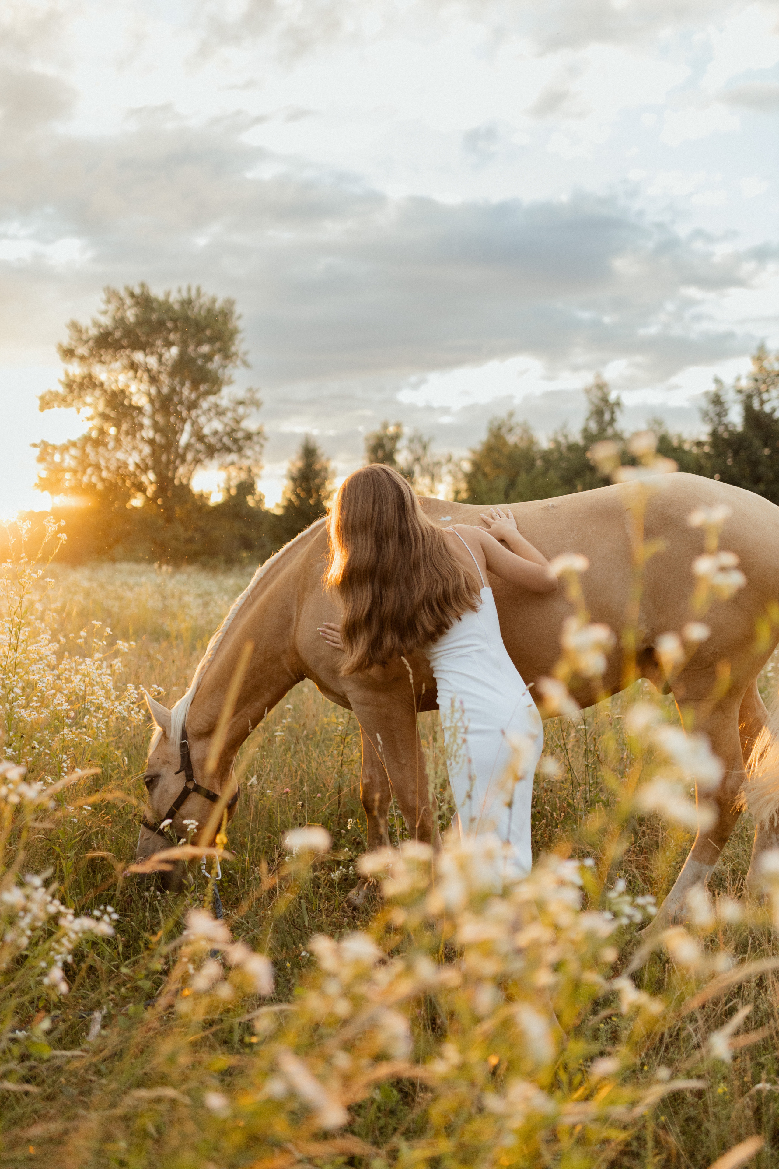 История с лошадью. Фотограф в Краснодаре Юлия Перкунова