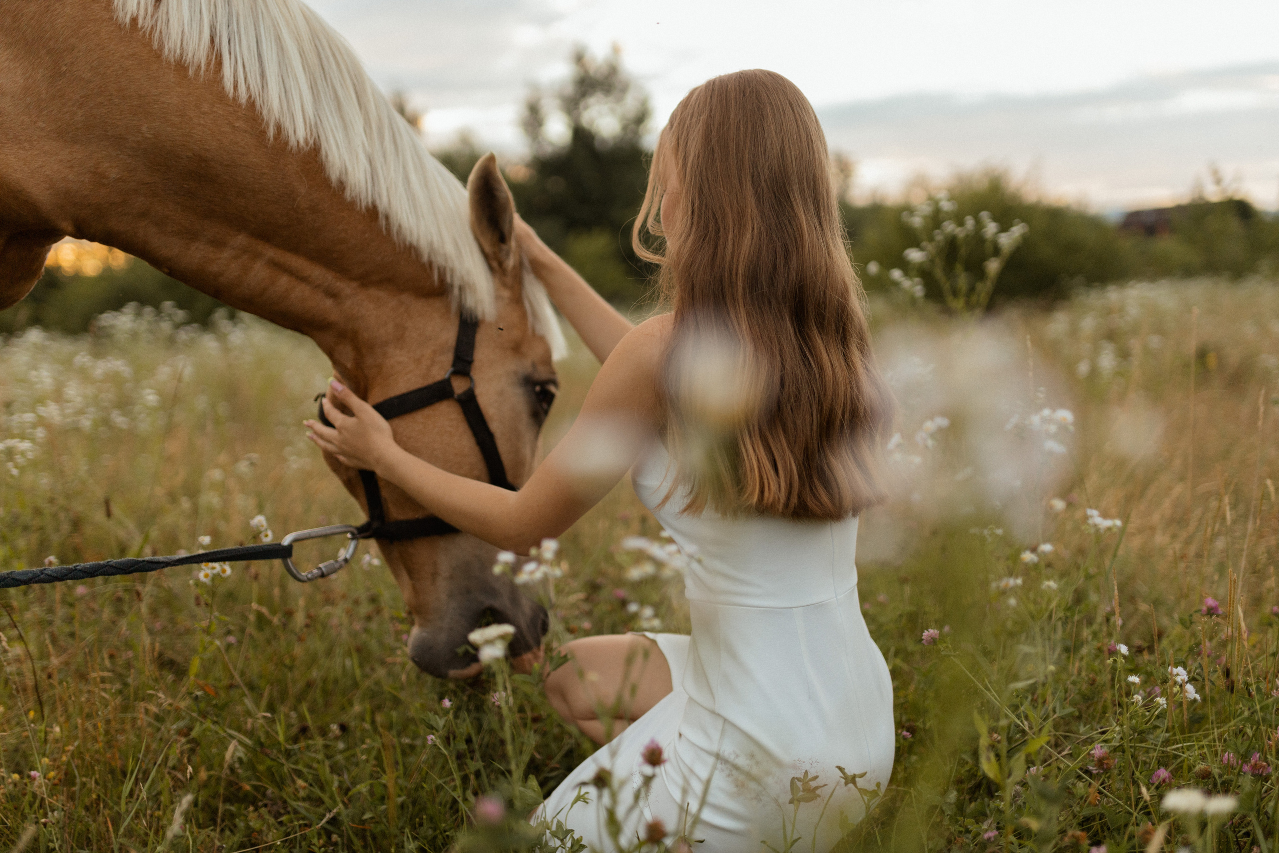 История с лошадью. Фотограф в Краснодаре Юлия Перкунова