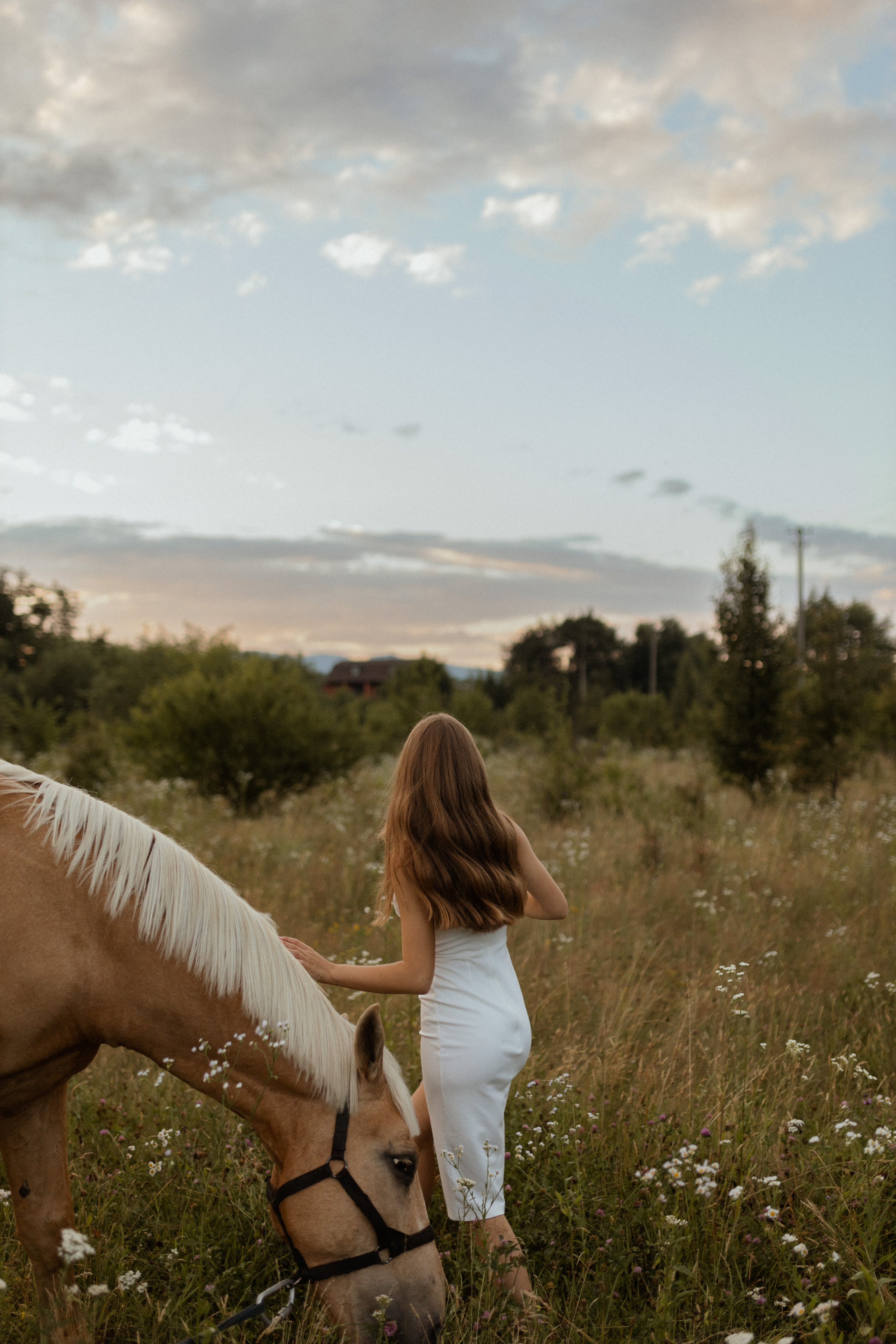 История с лошадью. Фотограф в Краснодаре Юлия Перкунова