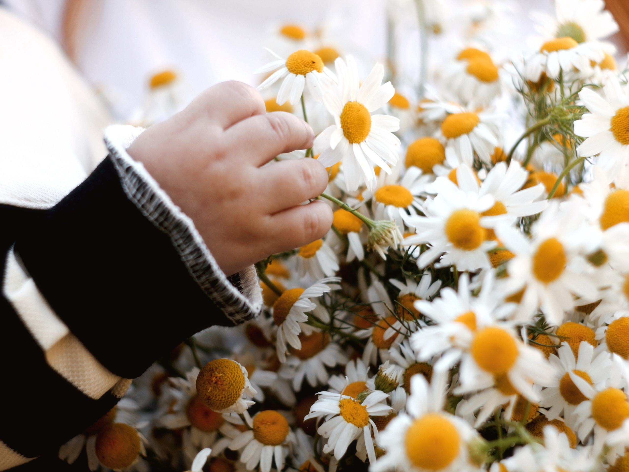 Семейная. Photography Eva