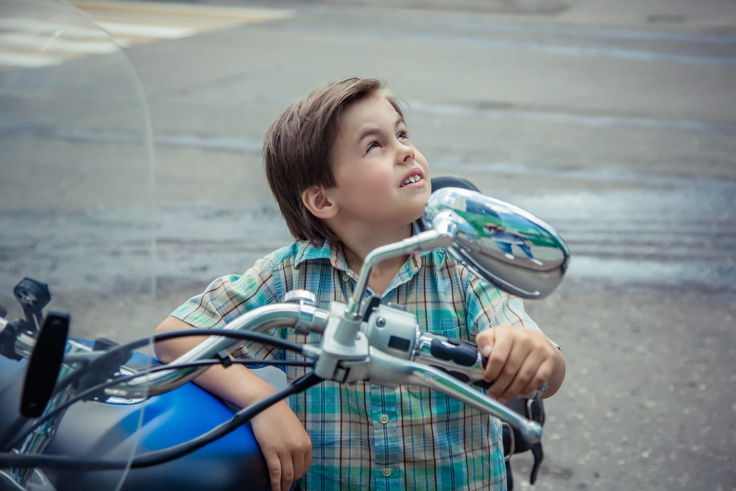 Лев. Свадебный и семейный фотограф в Москве и Подмосковье Лариса Козлова