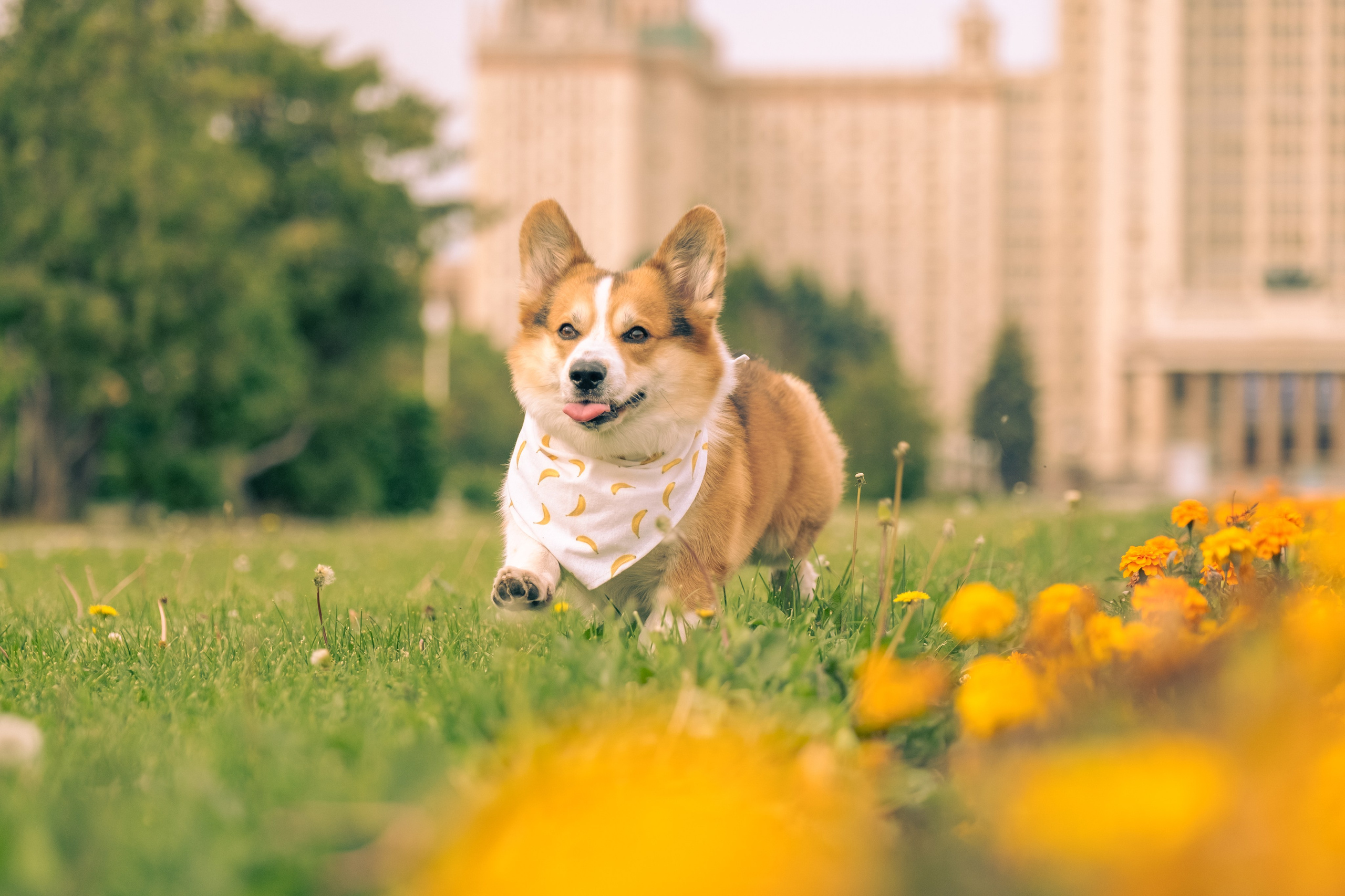Фотопрогулка для Владислава