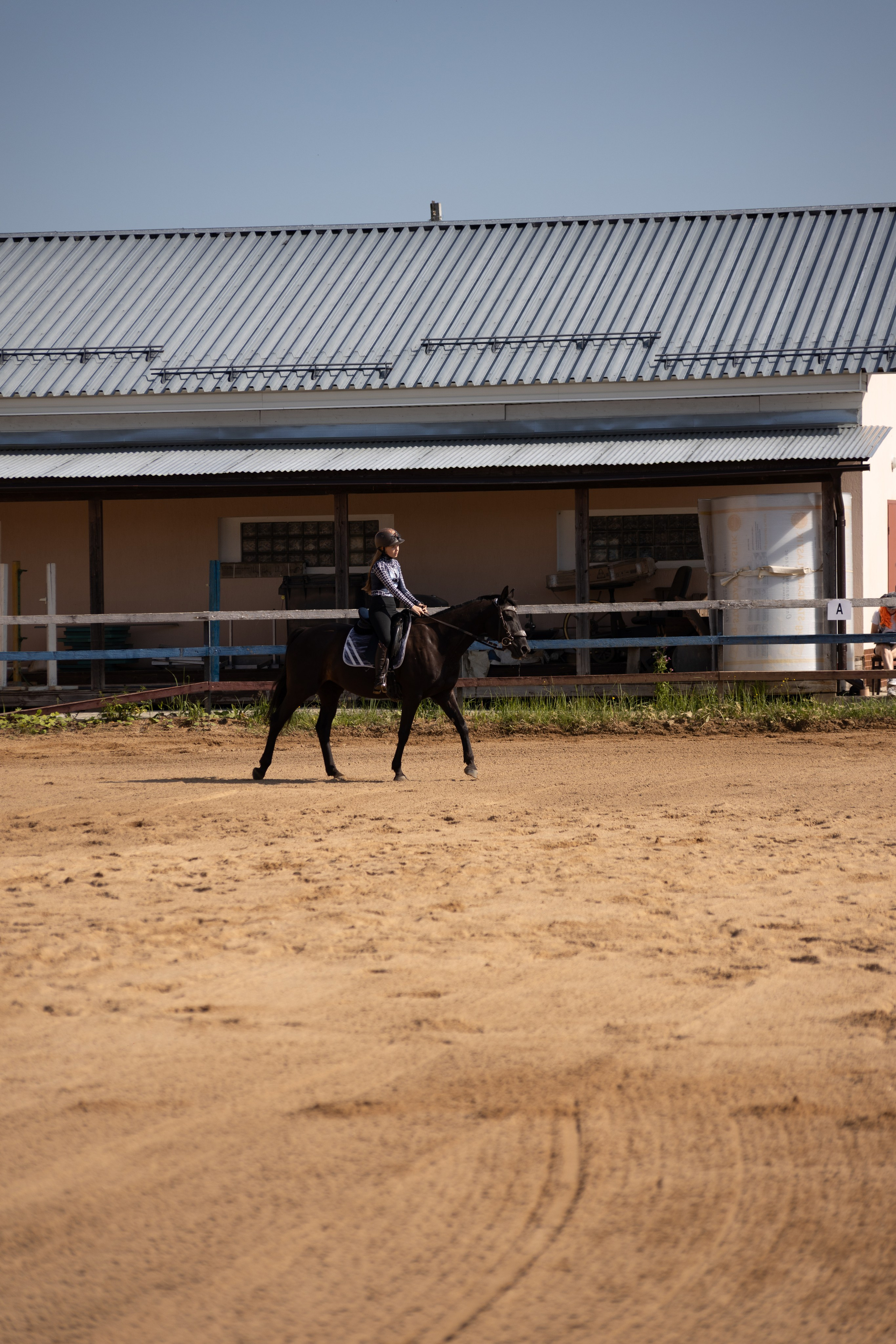 Конюшня. Фотограф в Москве и Истре