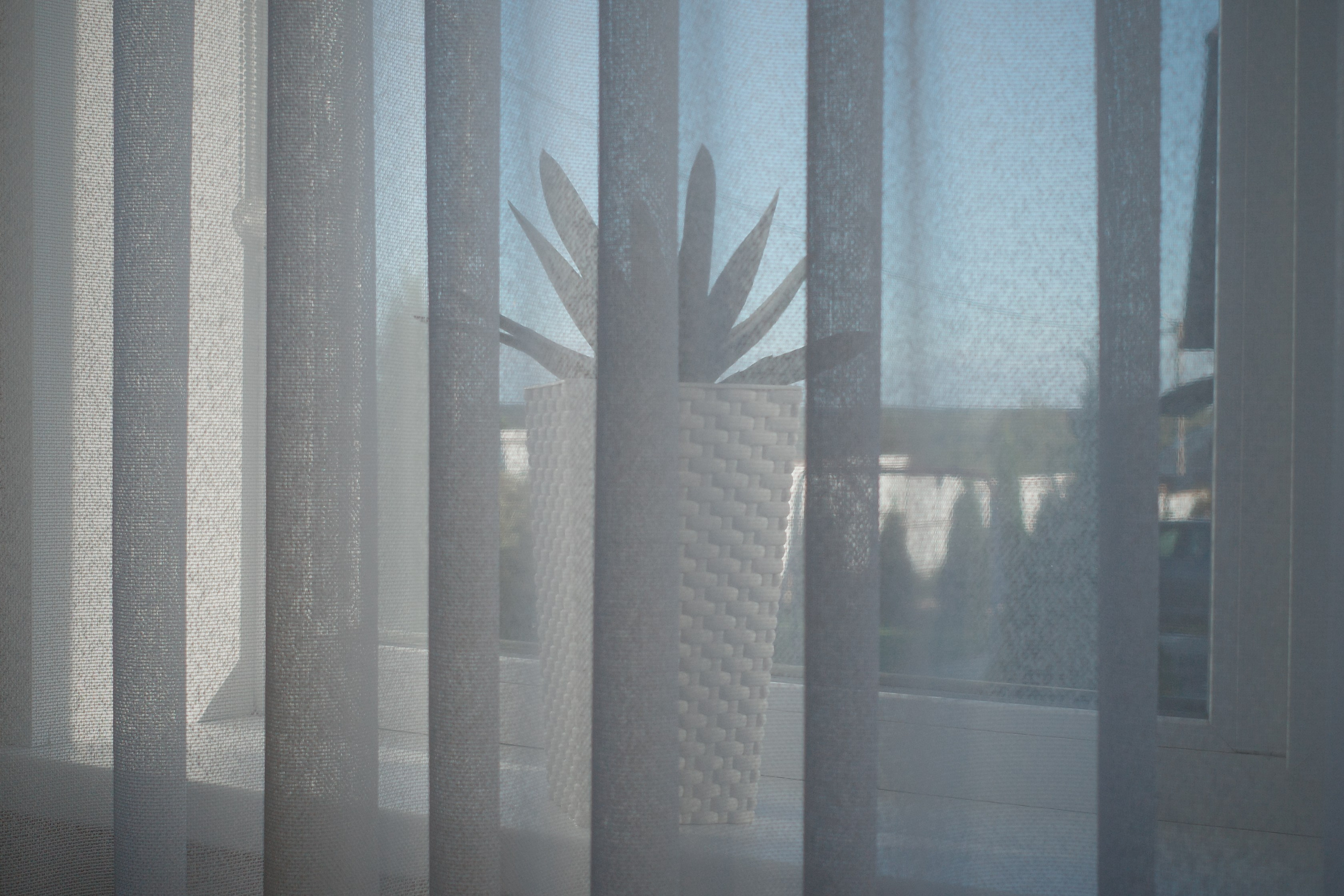 Галерея Ricoh GR3 HDF. Константин Устинов — фотограф