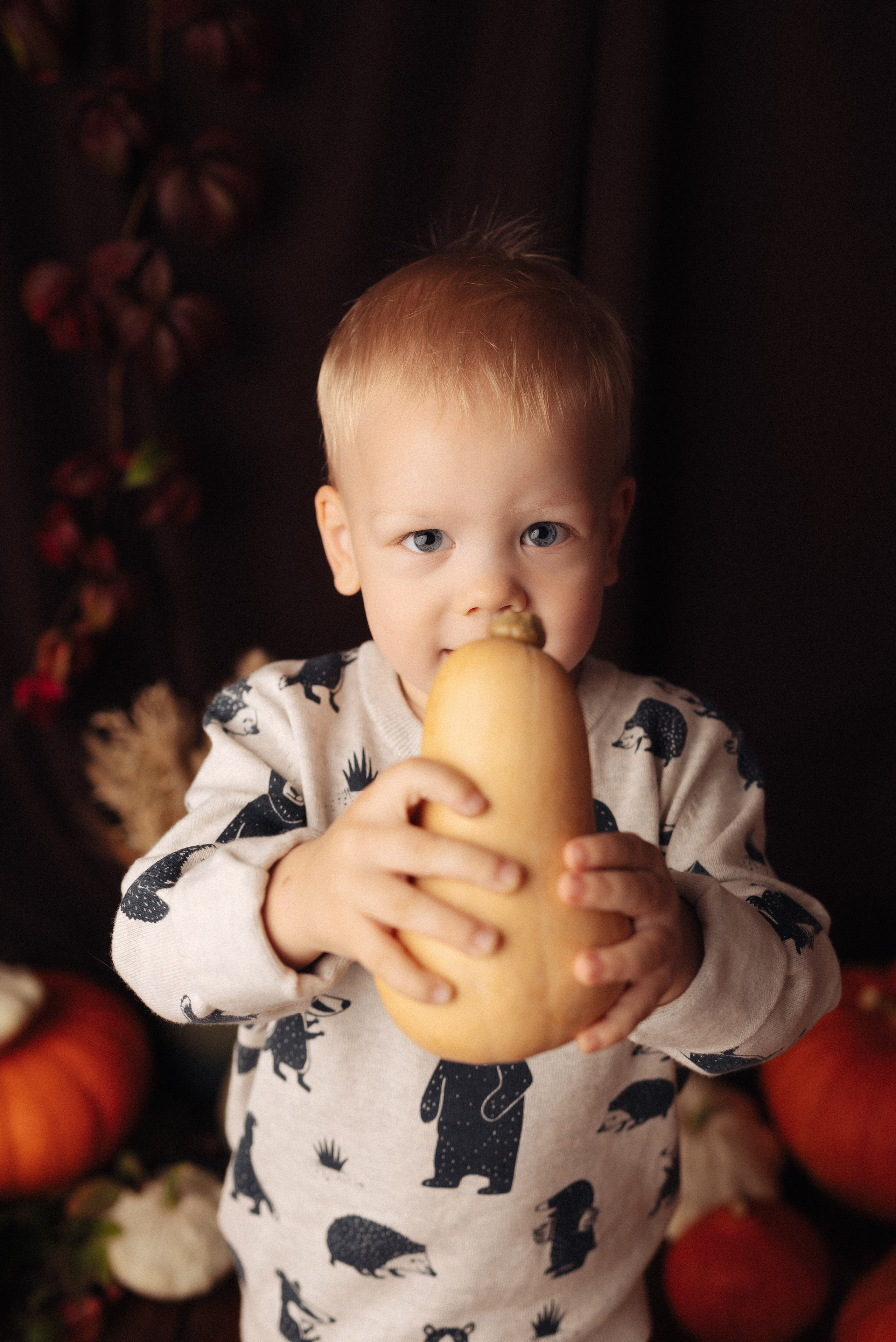 Фотопроекты. Фотограф новорожденных в Иваново Виктория Судницына