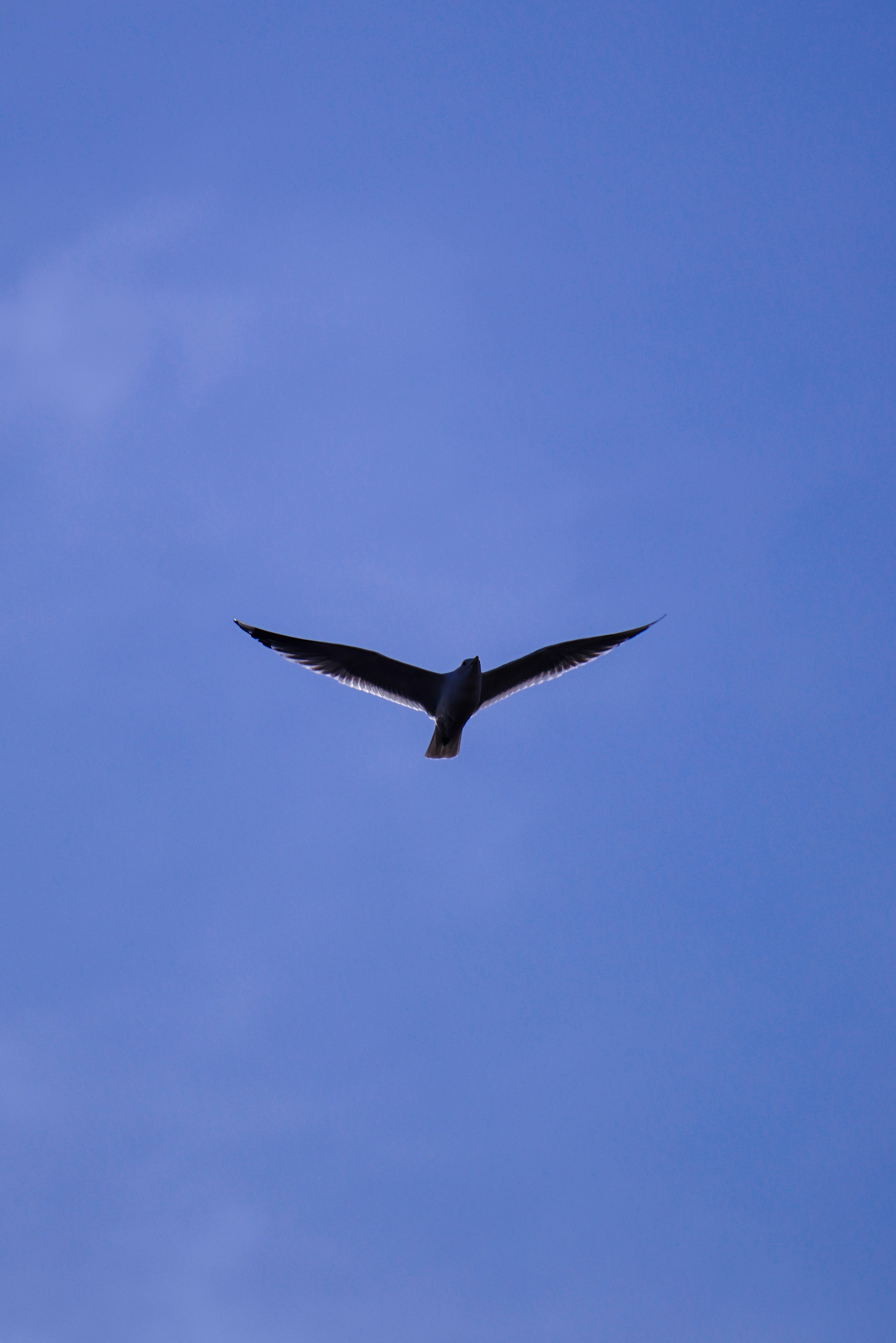 Фурманов, Апрель 2022