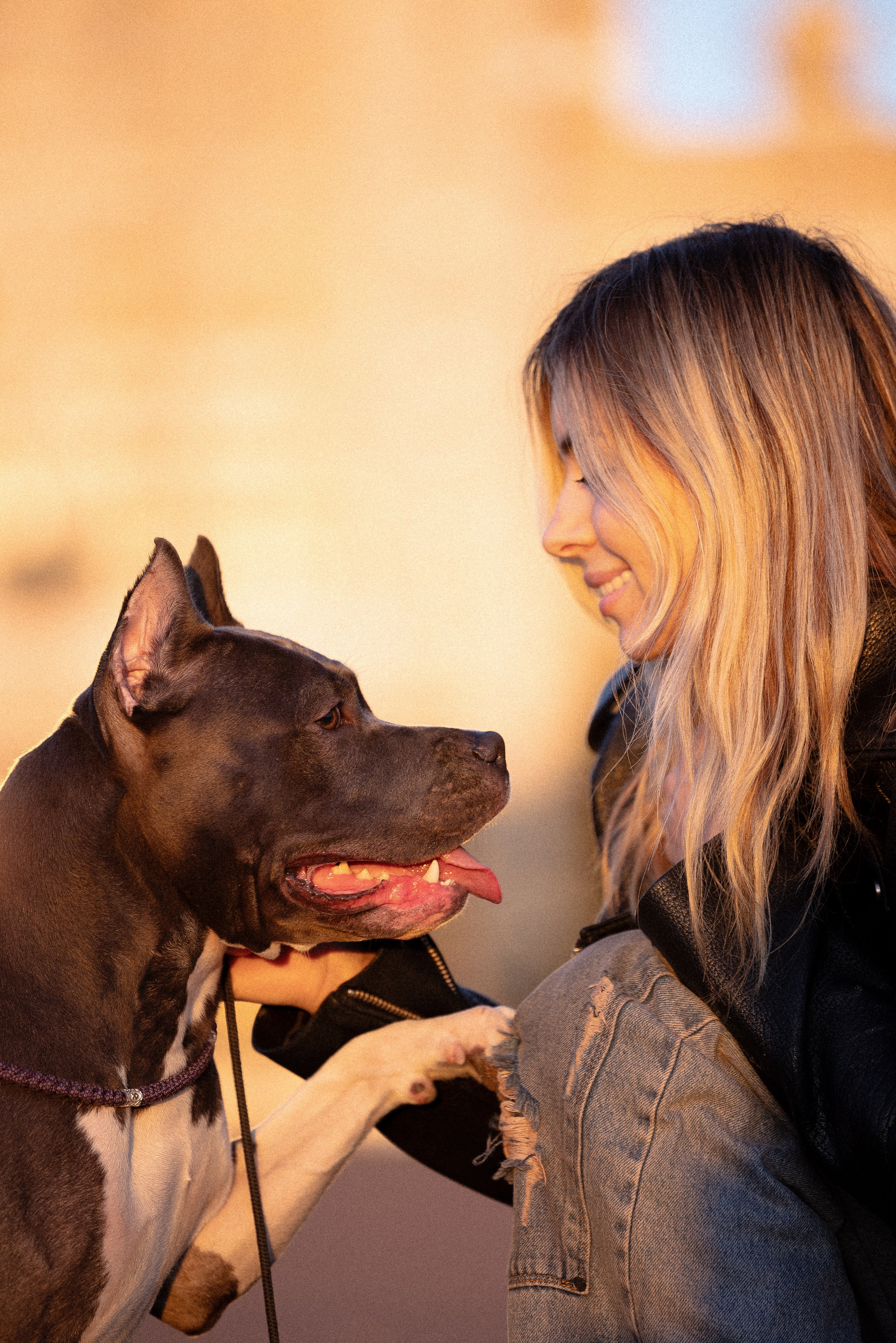 Катя, Леша, Лея и Трой. Фотограф и видеограф анималист Аганина Дарья